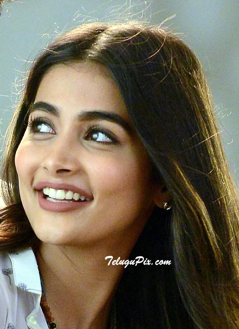 Pooja Hegde HD Photo Latest New HQ Pics image Stills Picture