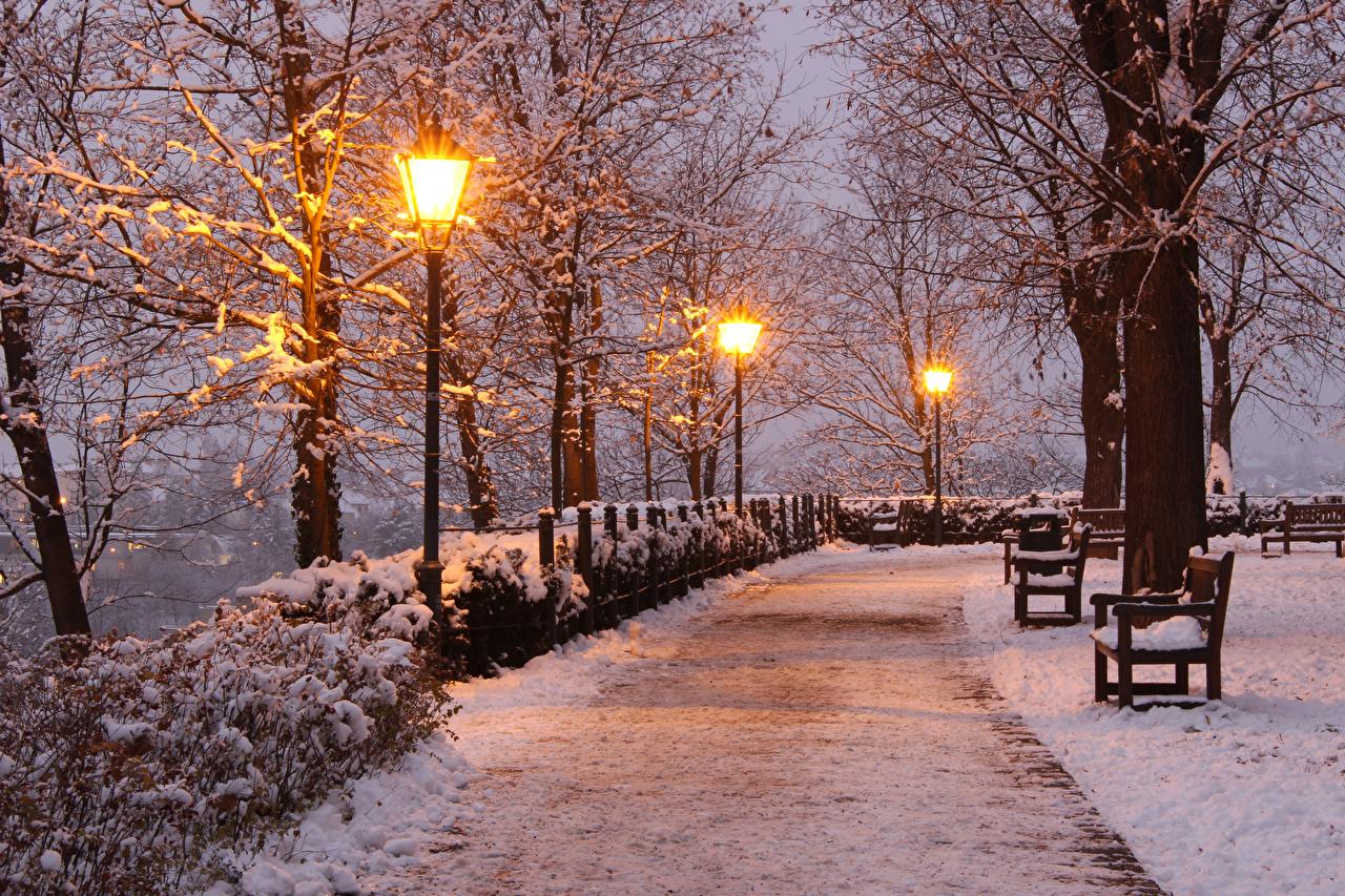 Image Czech Republic Brno Nature Winter Snow park Bench Evening