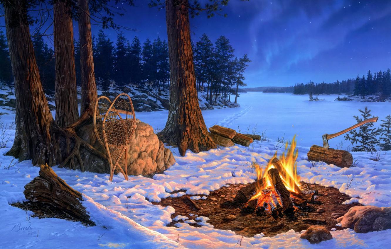 Wallpaper winter, forest, snow, trees, landscape, night
