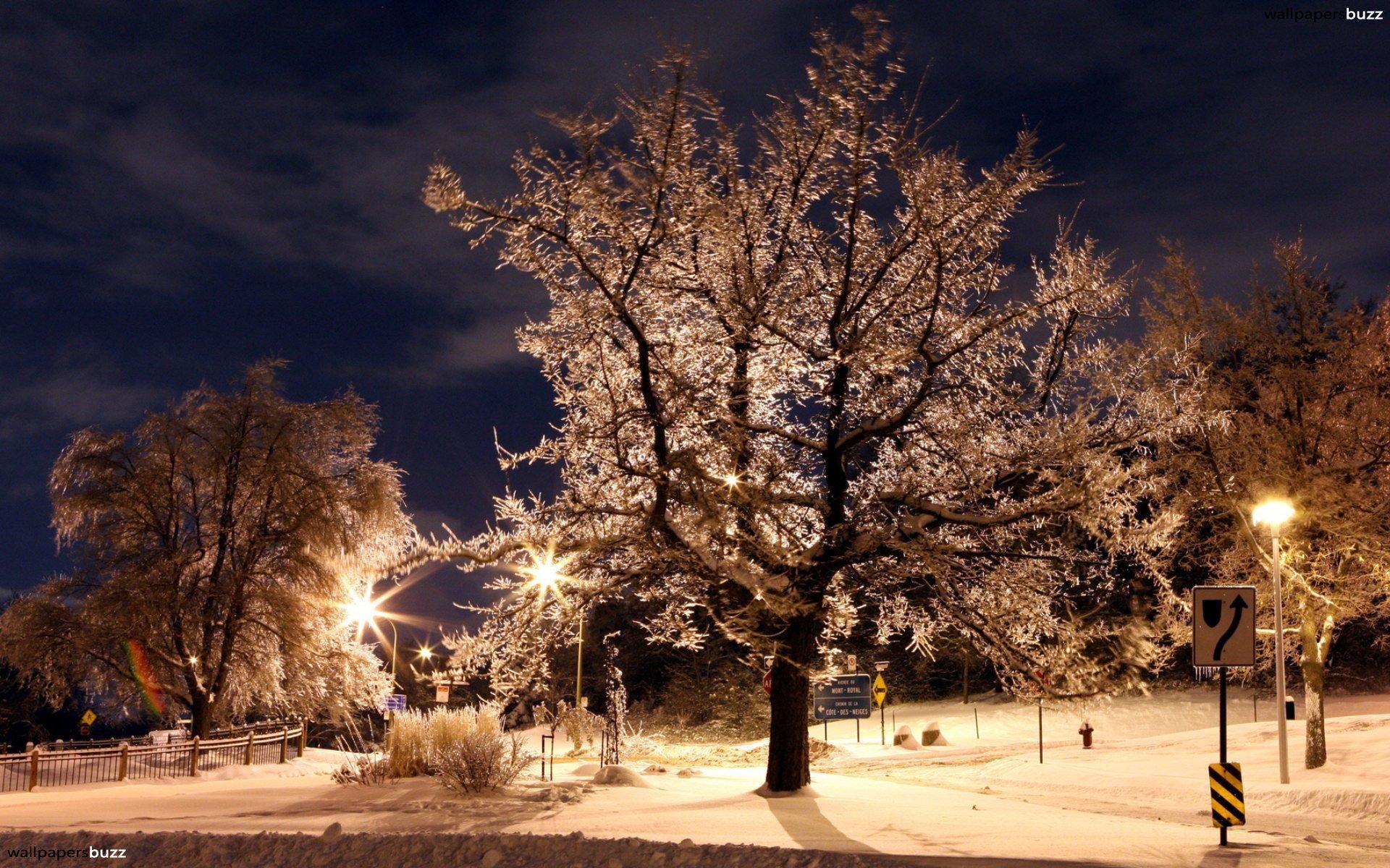 Winter night HD Wallpaper