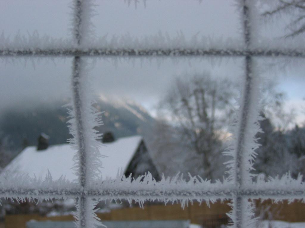 Frosty. Christmas morning hoar frost