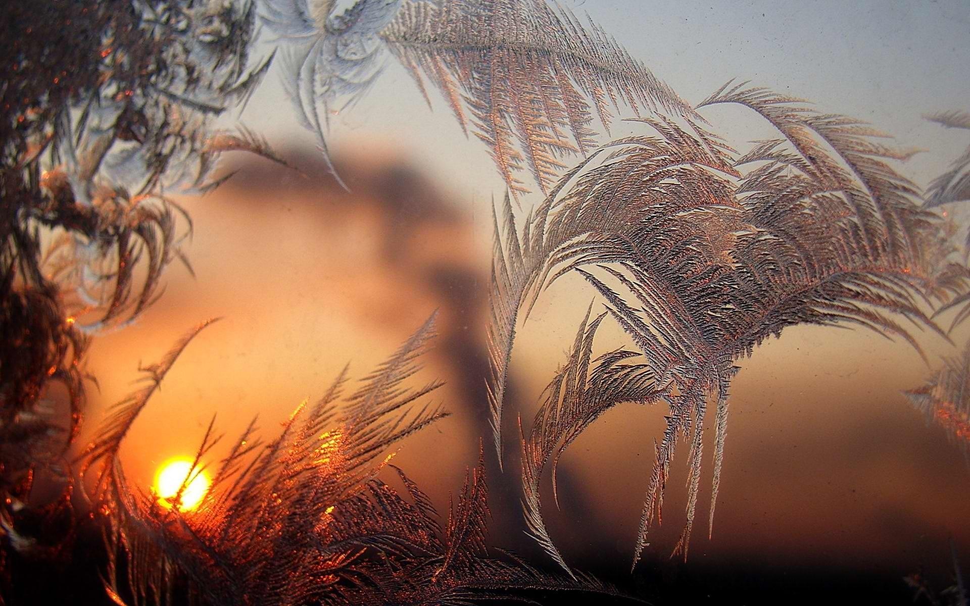 Winter patterns glass morning sun frost wallpaper