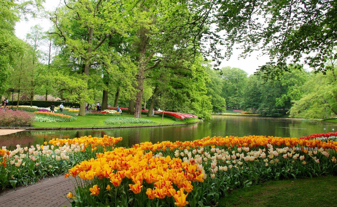 Netherlands Parks Pond Tulips Trees .wallpaperup.com