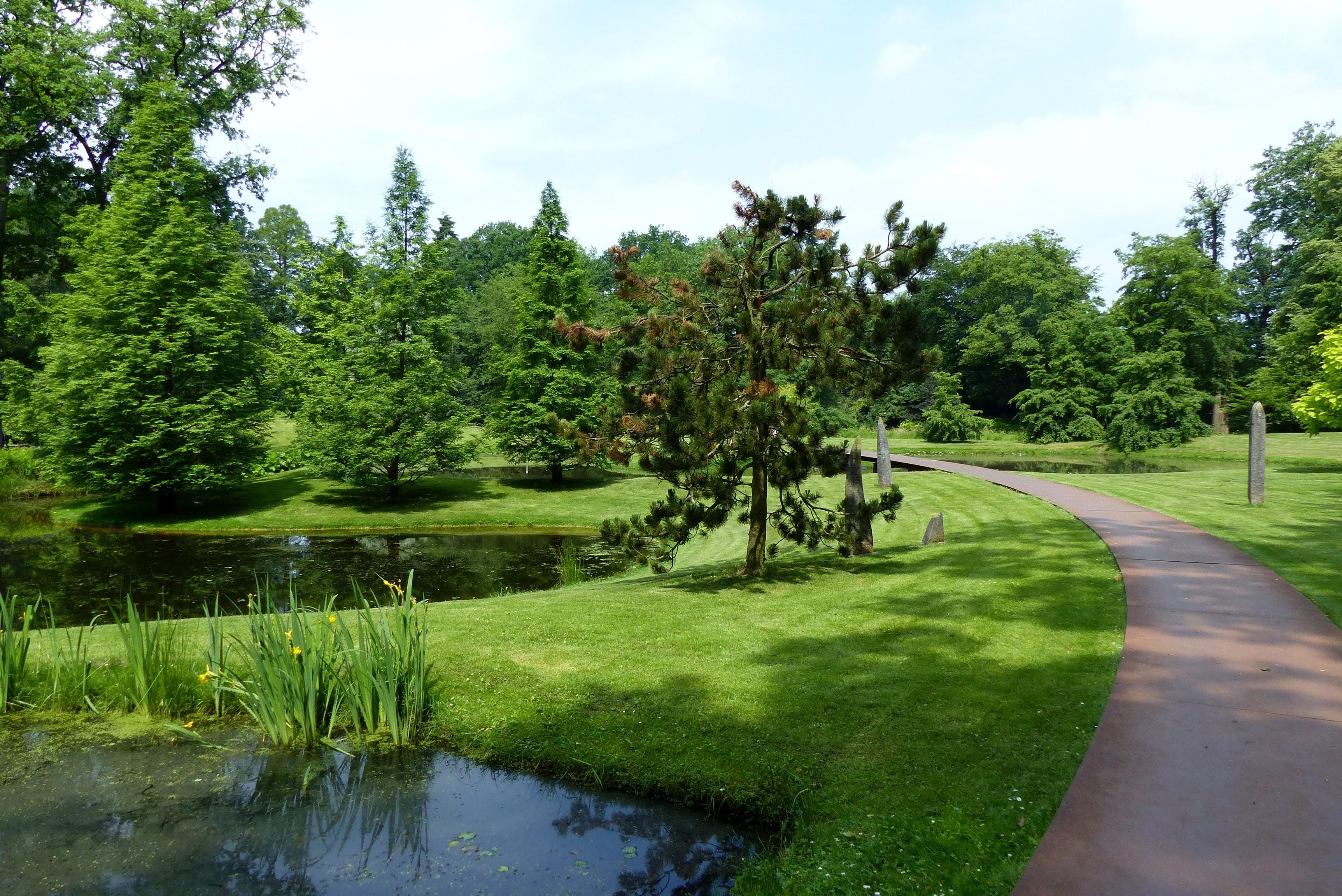 Pond In The Park Wallpapers - Wallpaper Cave