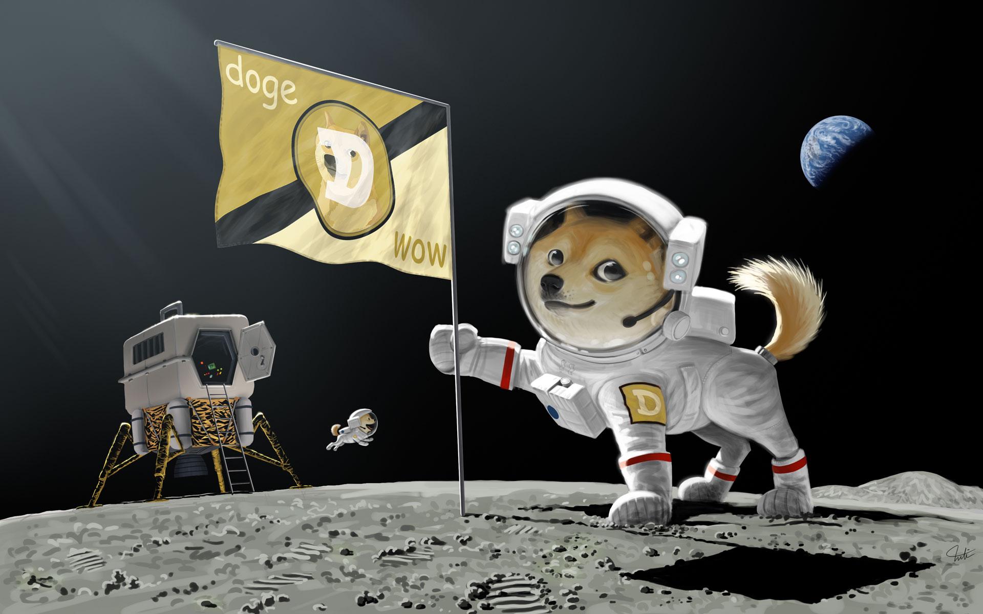 Image result for dogecoin wallpaper