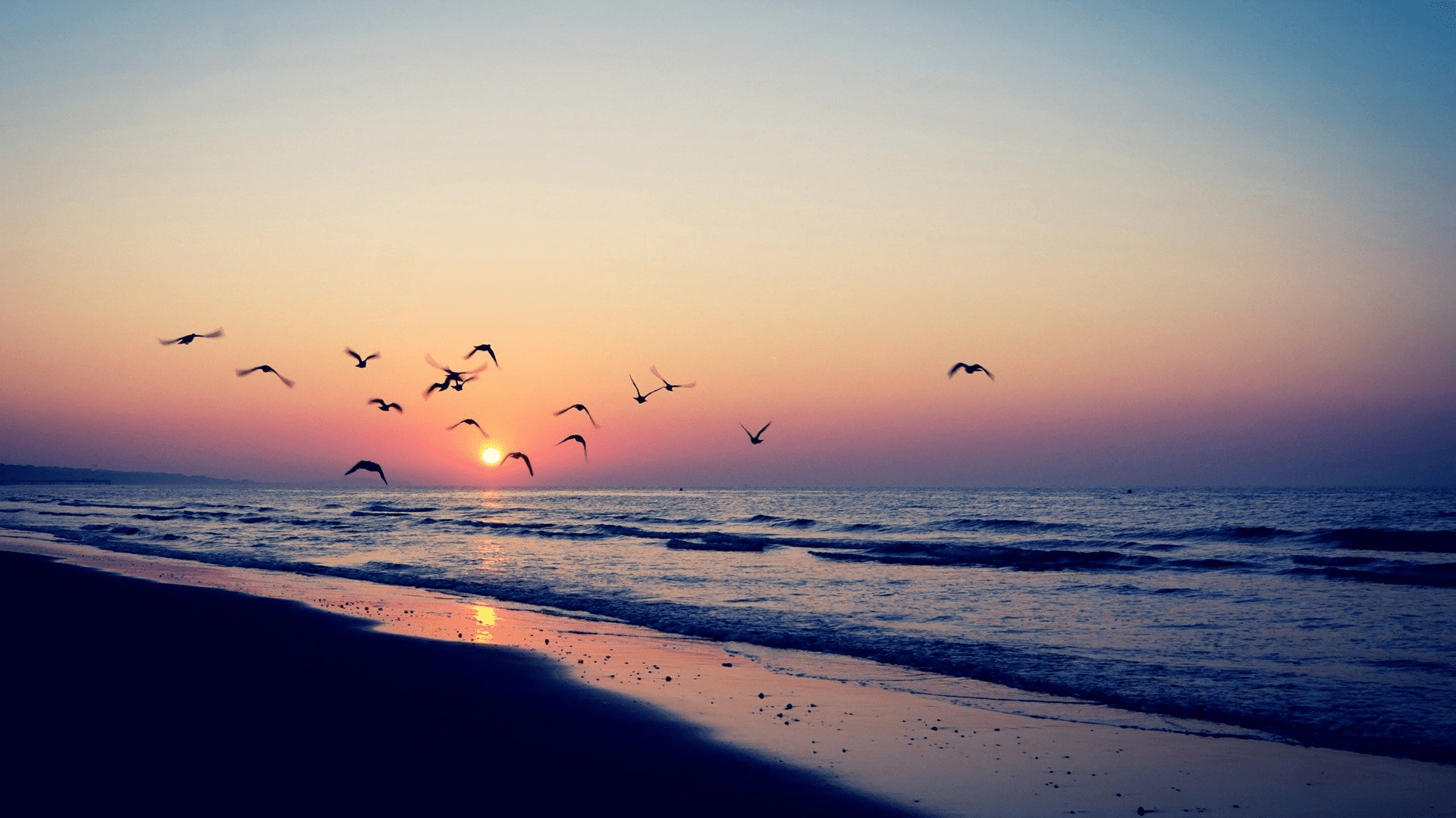 Sunset HD Aesthetic Wallpapers