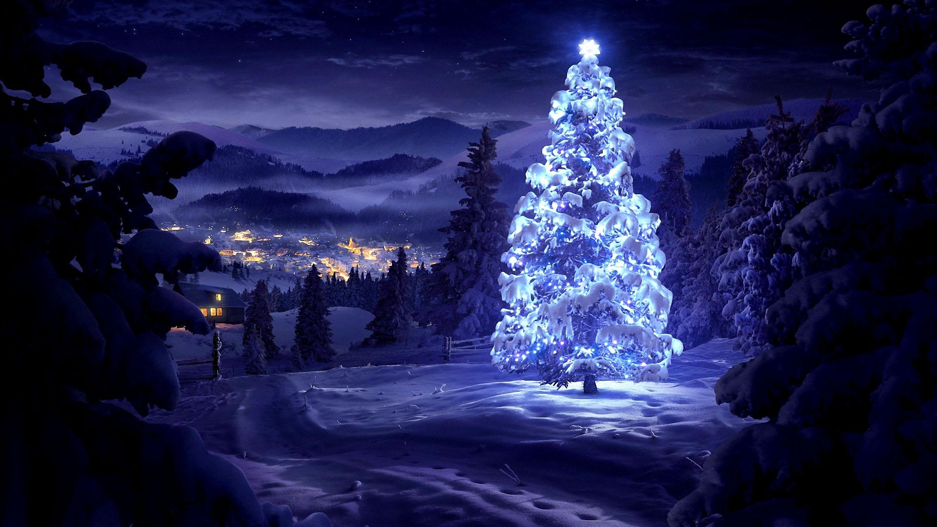 Outstanding Christmas Trees Image And Wallpaper