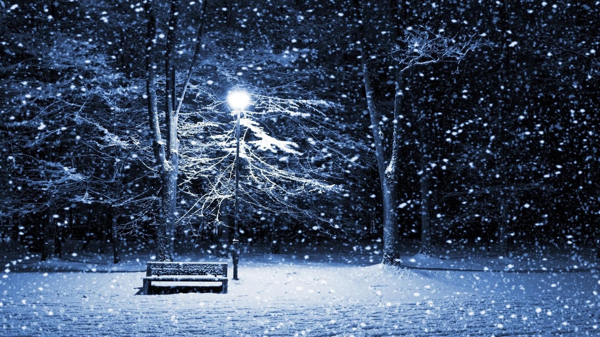 Brown wooden bench and lamp post, winter, snow, lantern