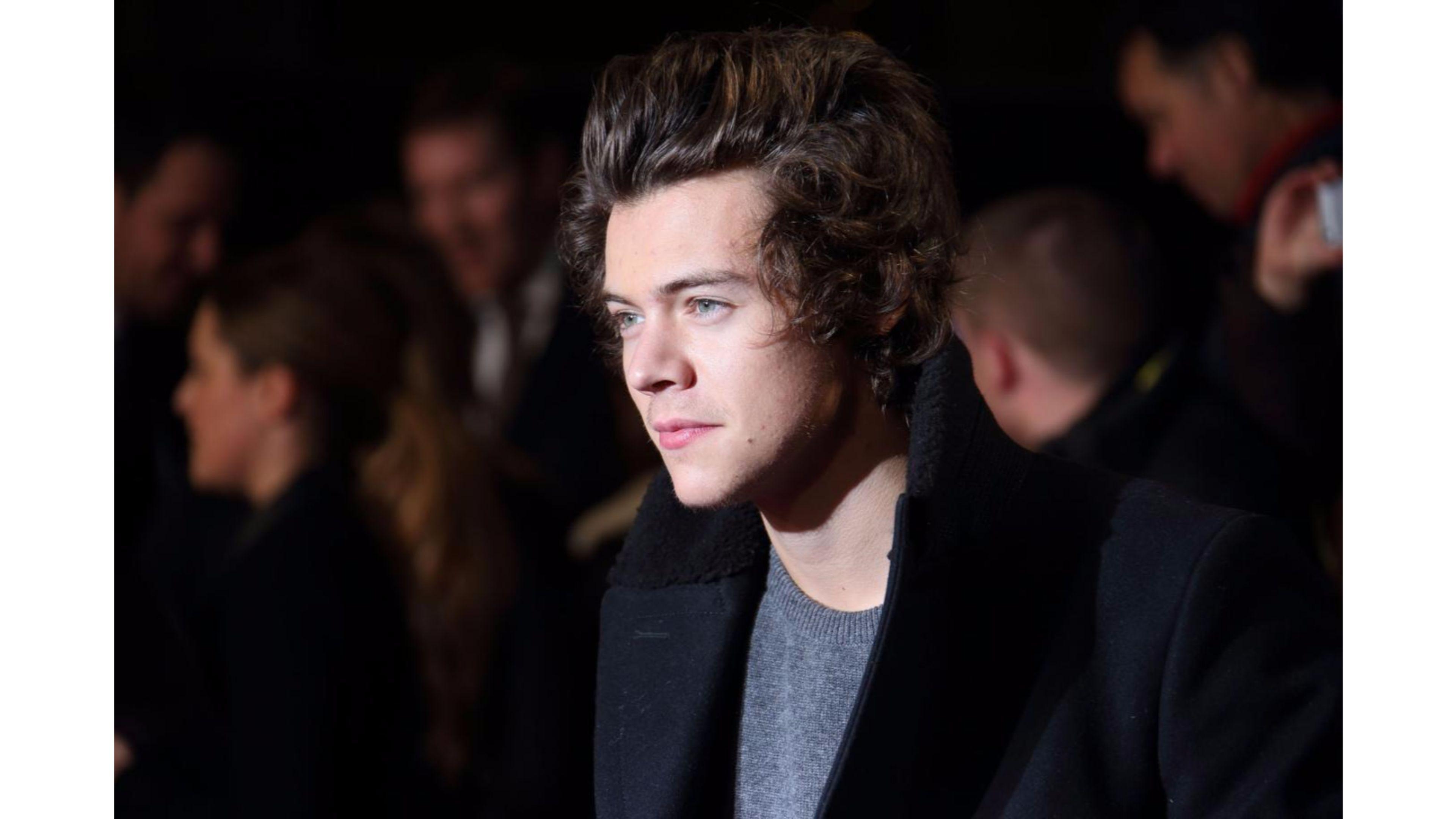 Harry Styles' Mother Reacts Furiously After One Direction