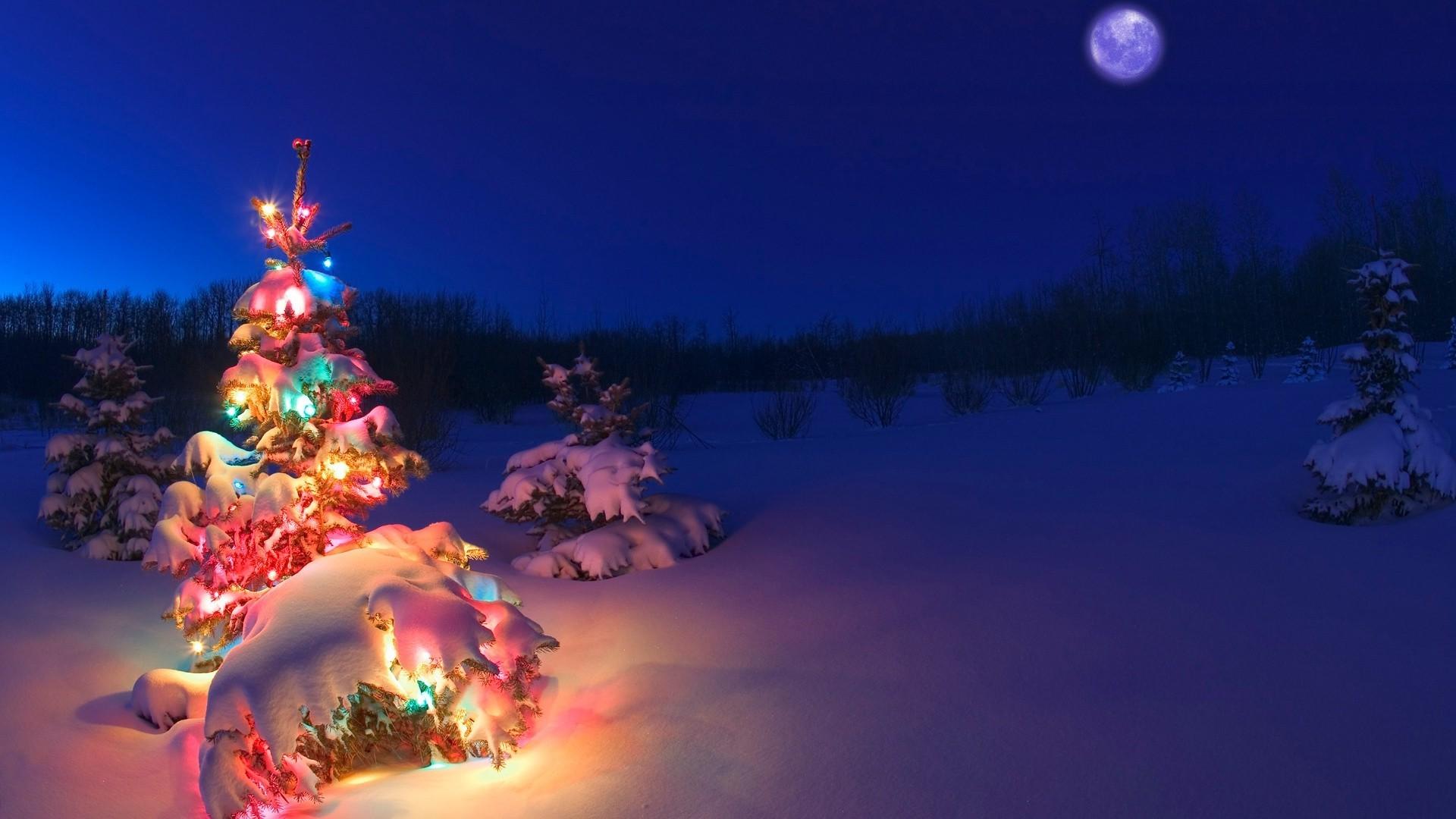 1920x1080 christmas tree snow christmas lights
