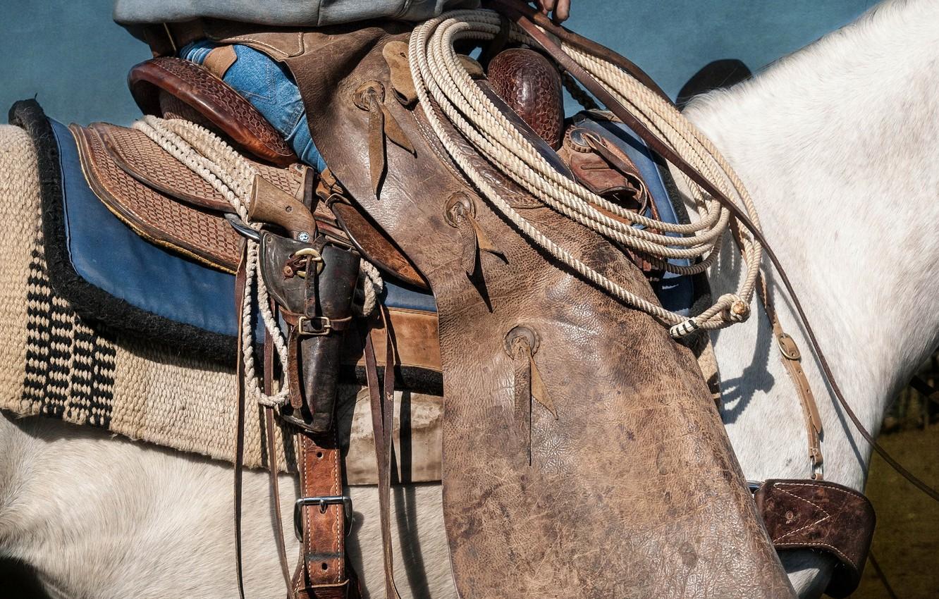Wallpaper weapons, horse, saddle image for desktop, section