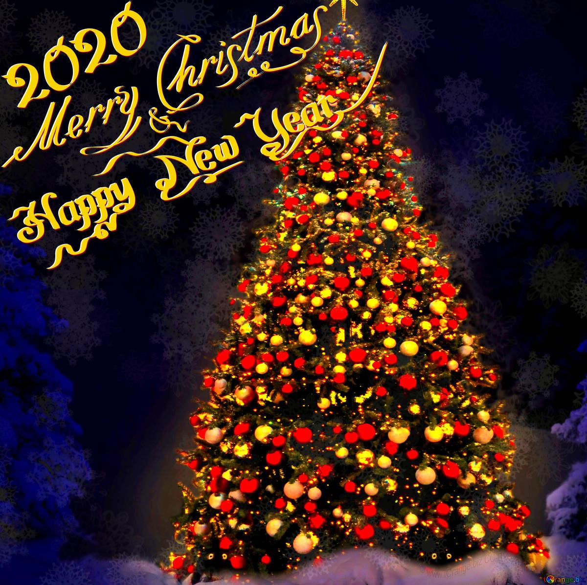 Download Free Picture 2020 Merry Christmas On CC BY License