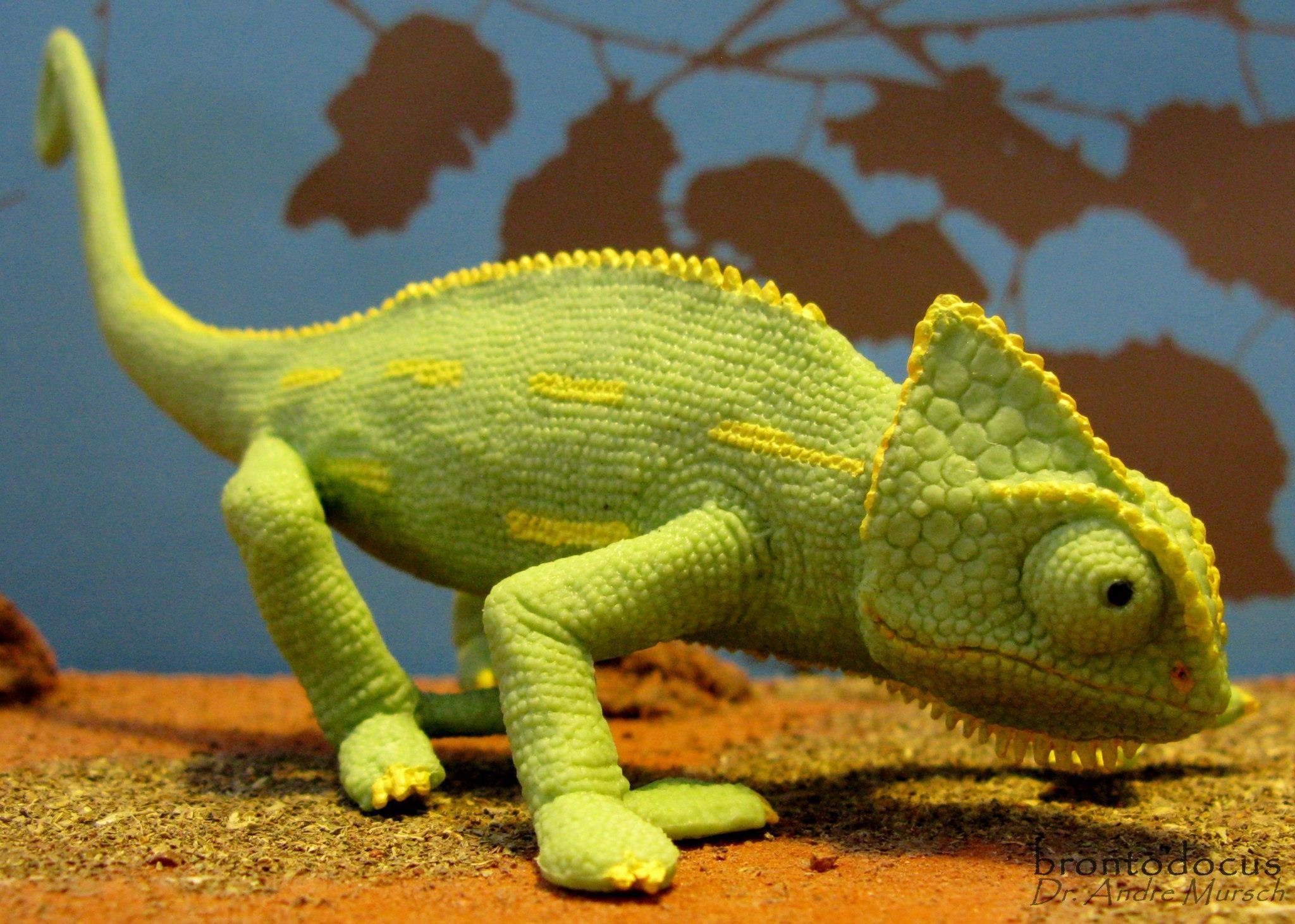 Bing Chameleon Wallpaper Free Bing Chameleon