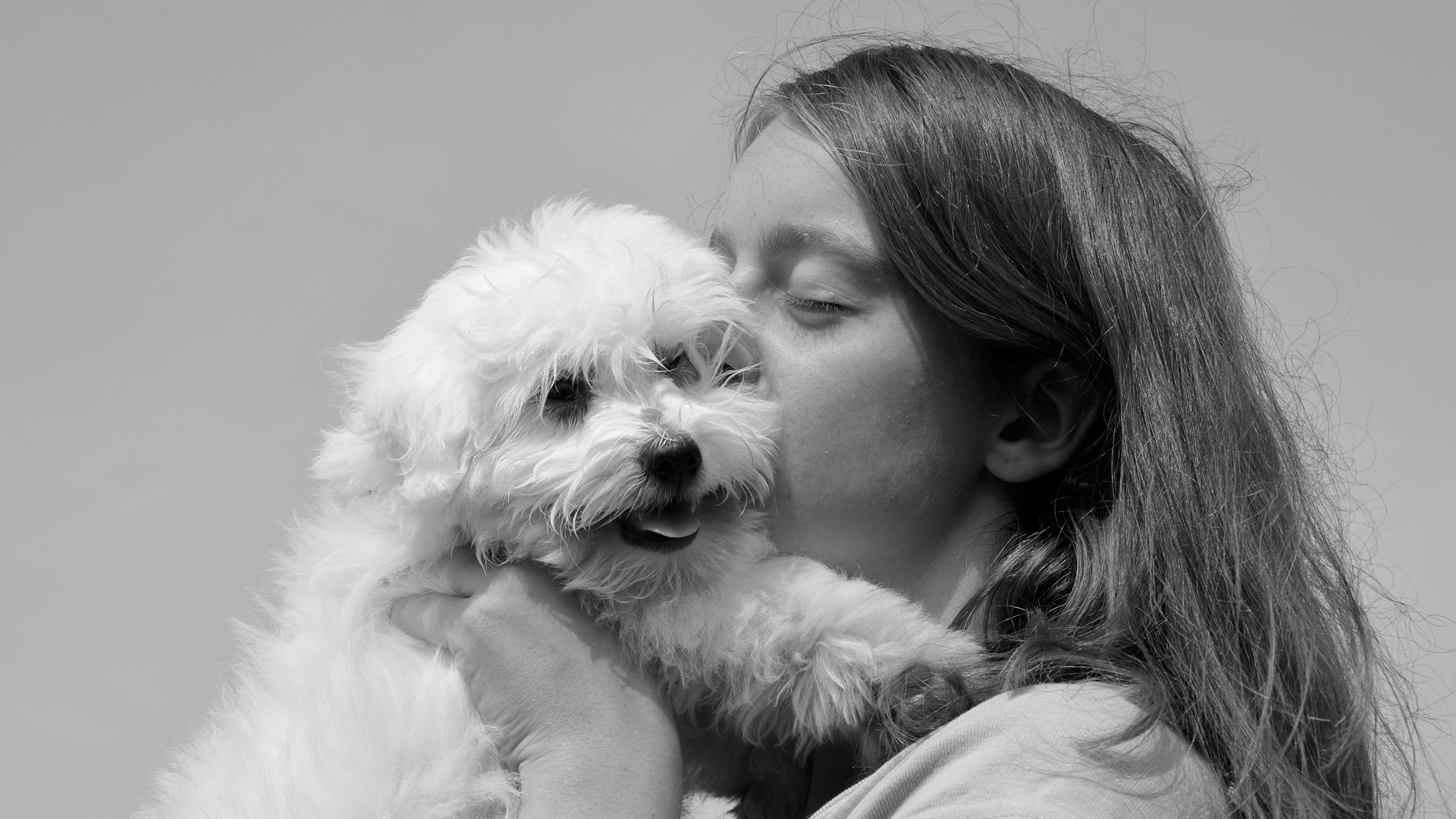 image Dogs Kiss 2 Hair Black and white Animals Staring
