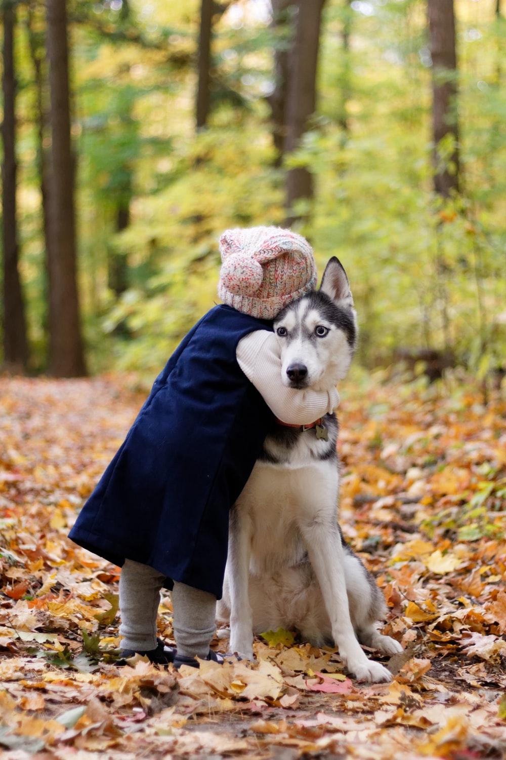 Dog Hug Picture [HD]. Download Free Image