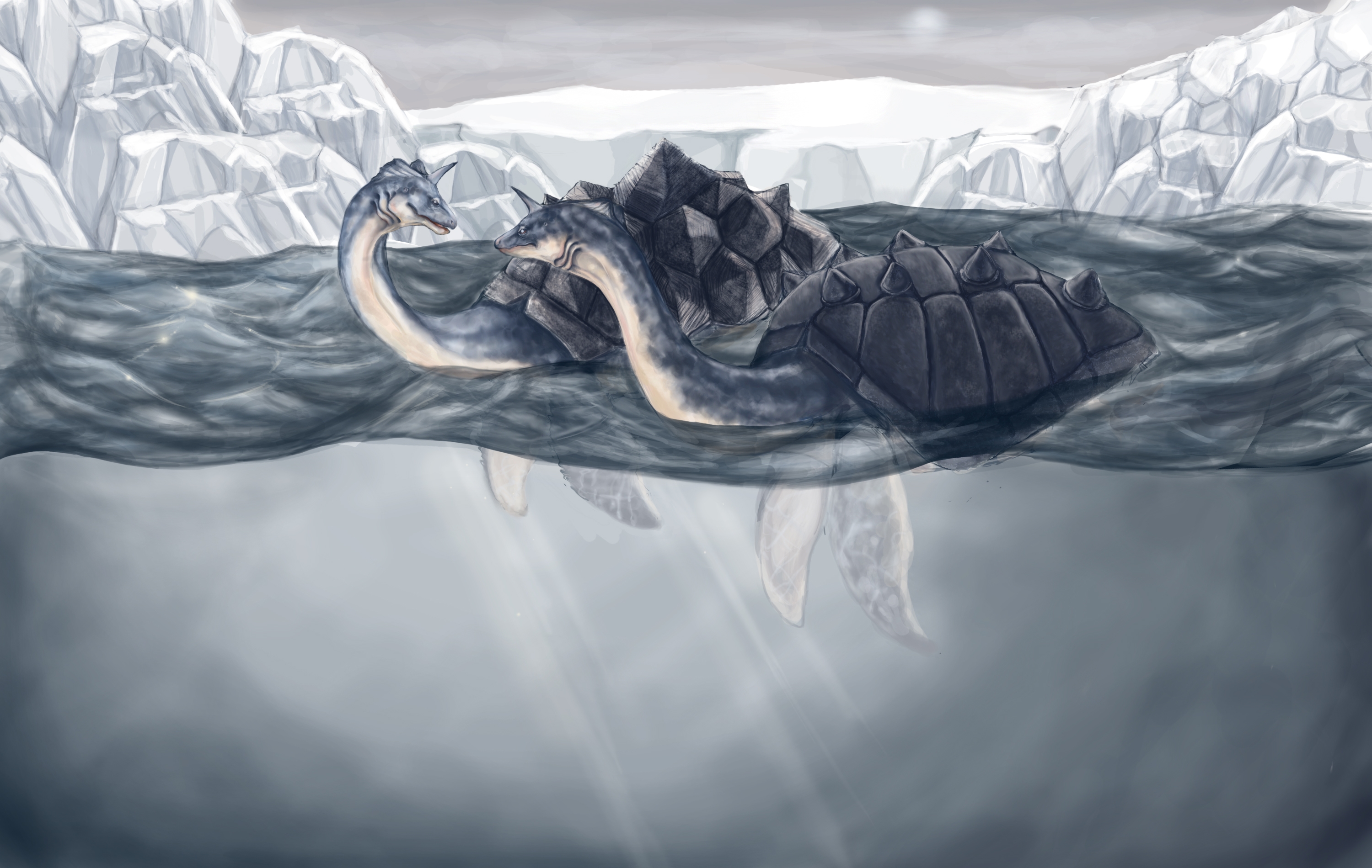 lapras by leashe 3000x1900 wallpaper High Quality Wallpaper