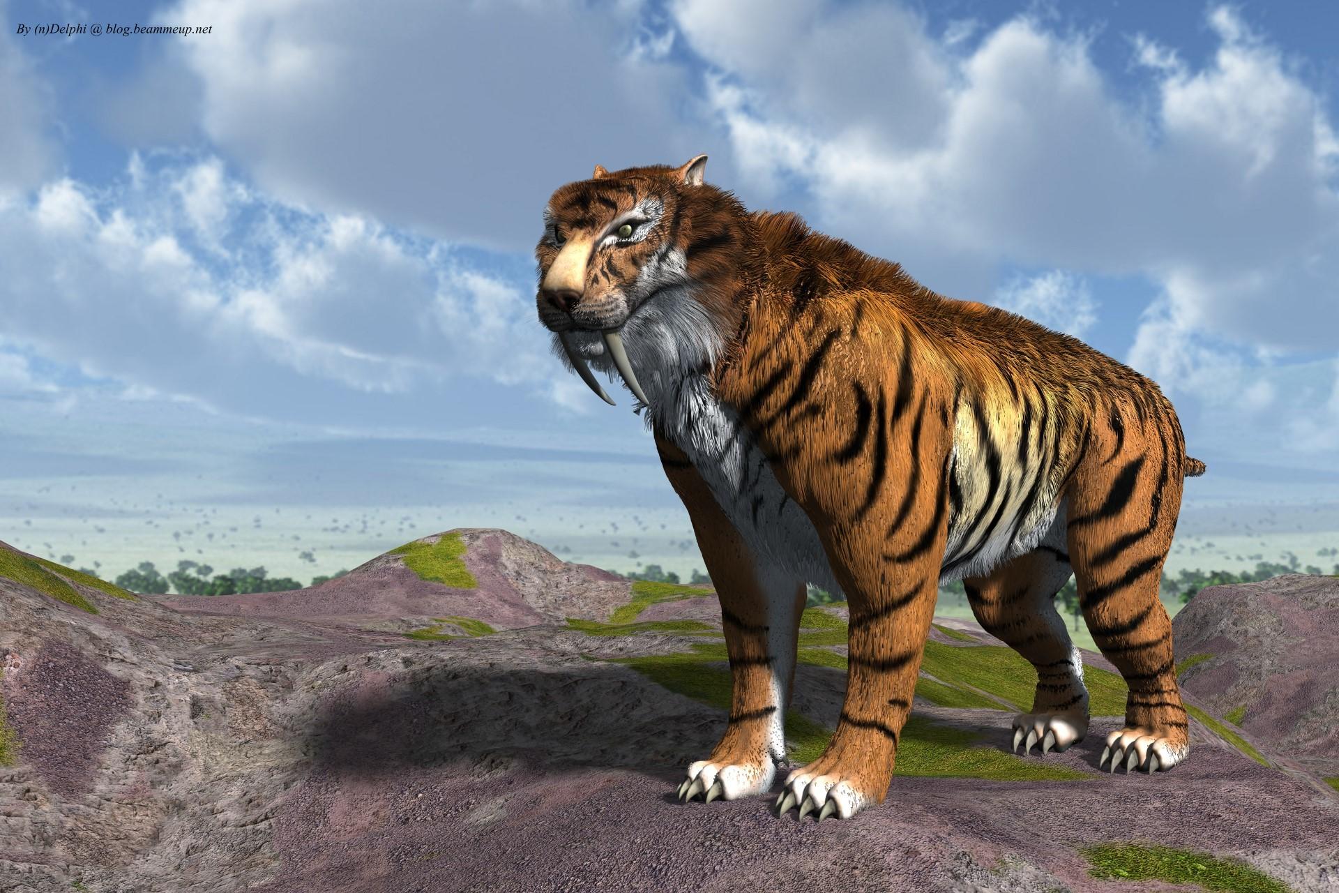 Saber Toothed Tiger Wallpapers Wallpaper Cave