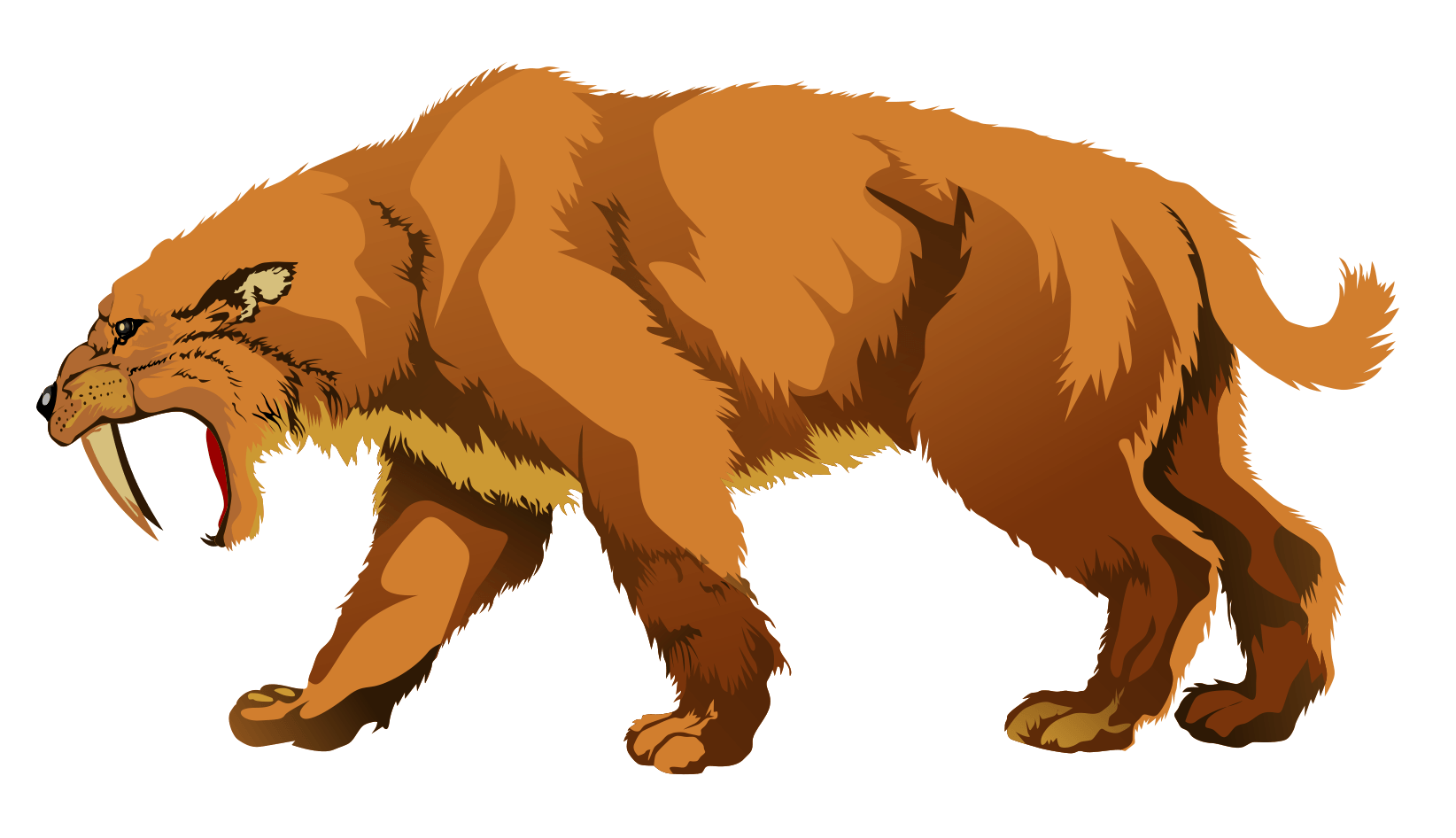 Free download Saber Tooth Tiger Picture The sabre toothed