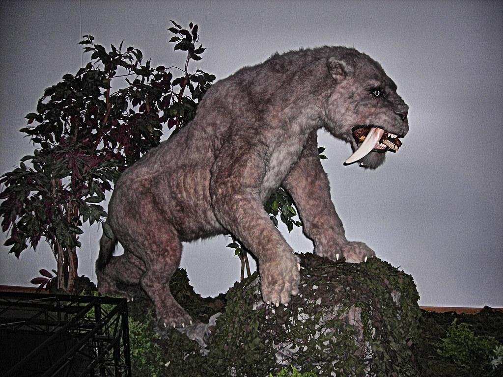 Sabre Toothed Tiger, Horniman Museum, London. Walk With Be