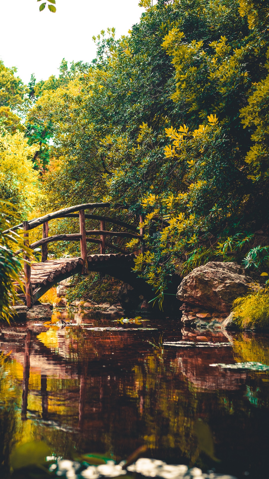 Download wallpaper 938x1668 bridge, river, austin, united