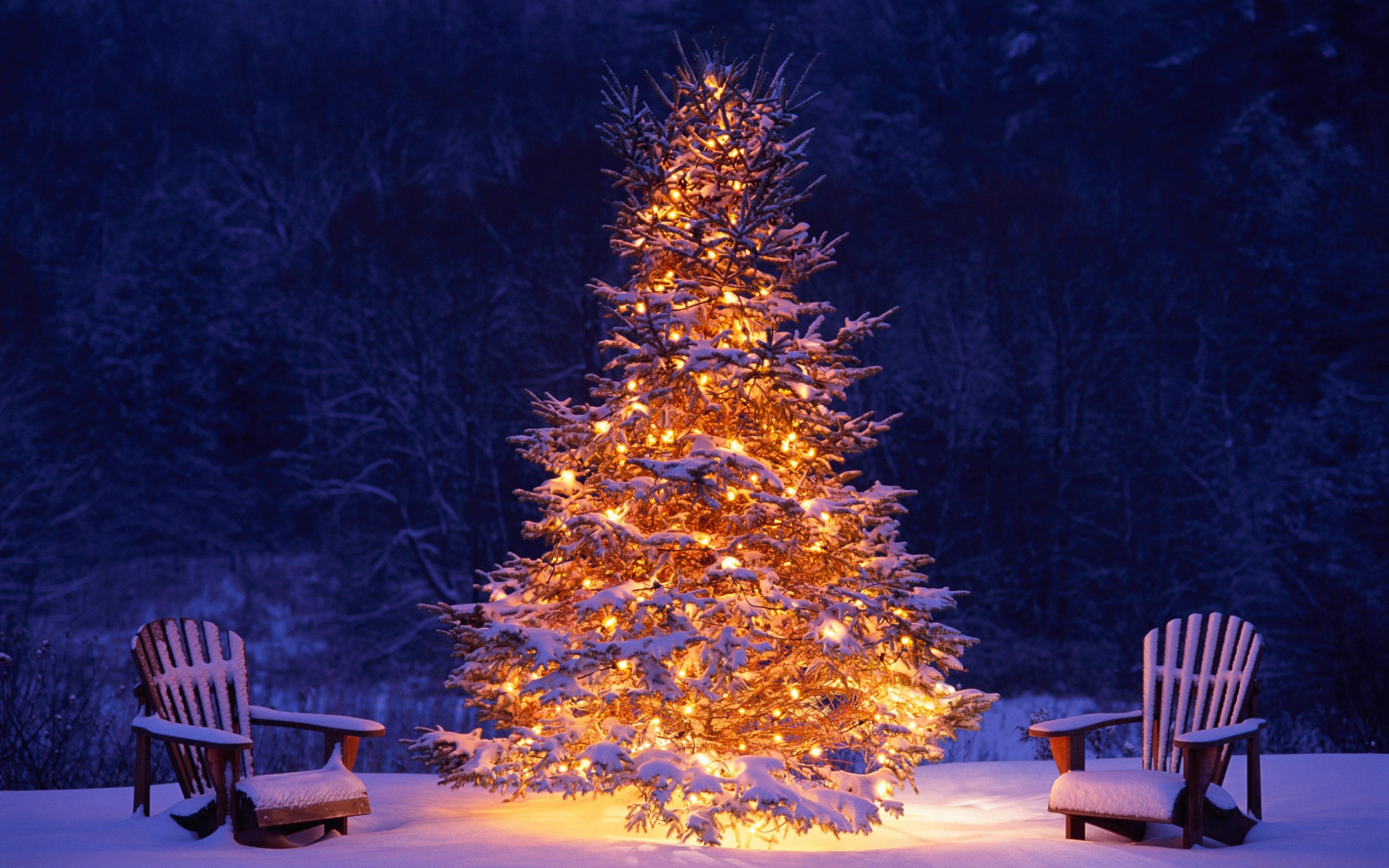 Download 3840x2400 wallpaper christmas tree, chairs, winter
