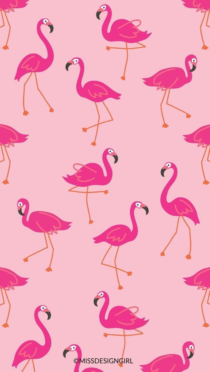 Flamingo Phone Wallpaper Free Flamingo Phone