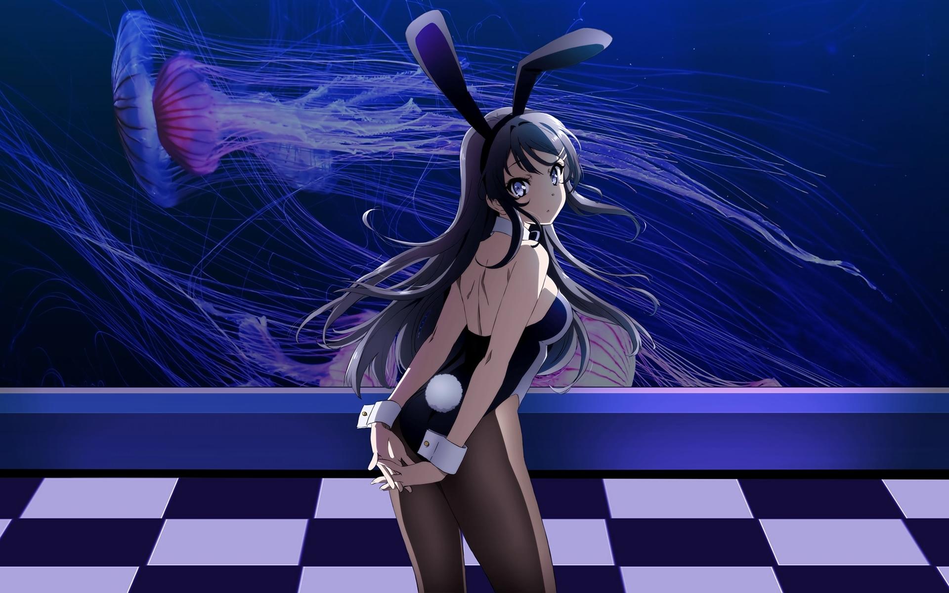 Wallpaper of Anime, Bunny Ears, Girl, Long Hair, Mai Sakurajima