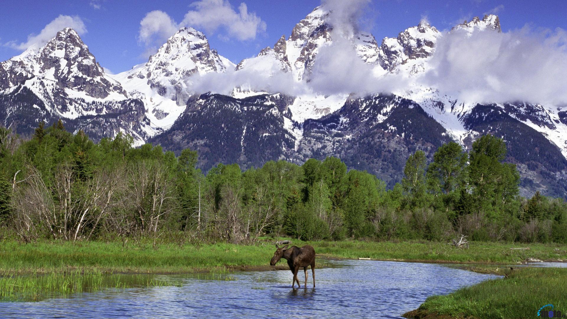 Free download Grand Teton Wyoming 1920 x 1080 HDTV 1080p