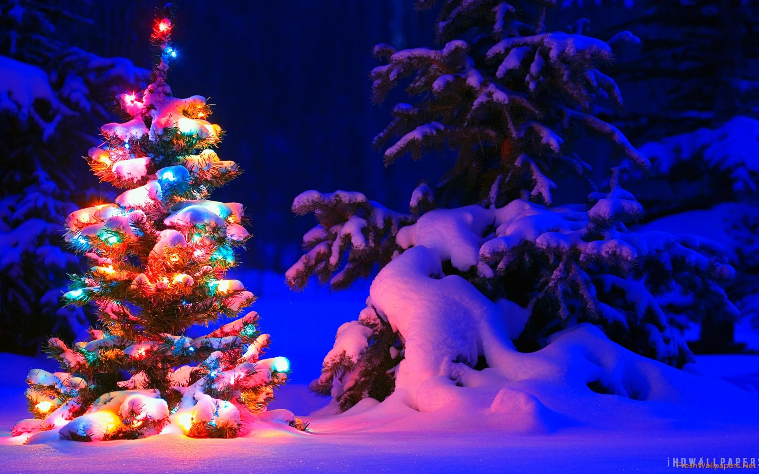 Snow And Lights On Christmas Tree Wallpaper