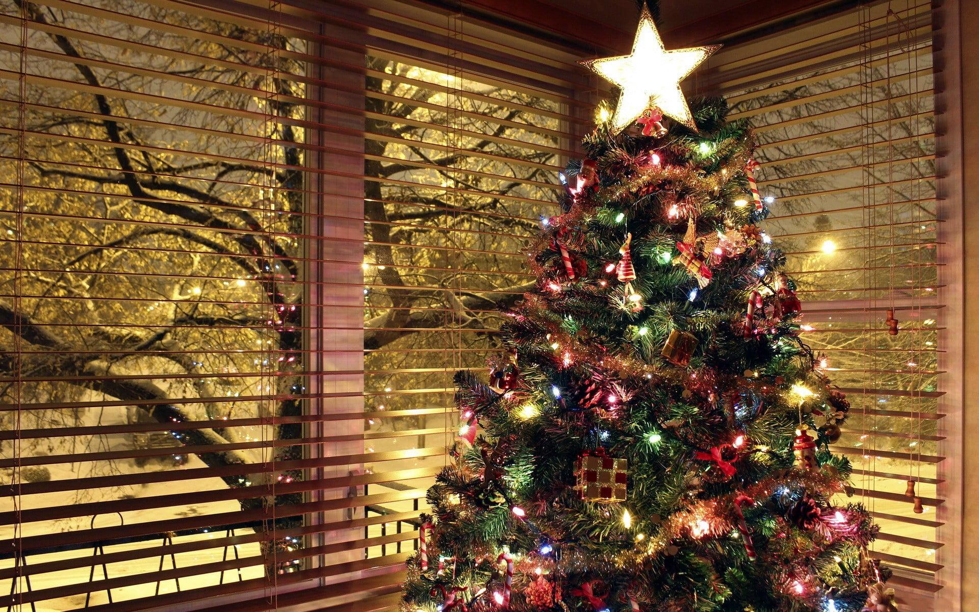 Green and red Christmas tree, christmas lights, Christmas ornaments, trees HD wallpaper