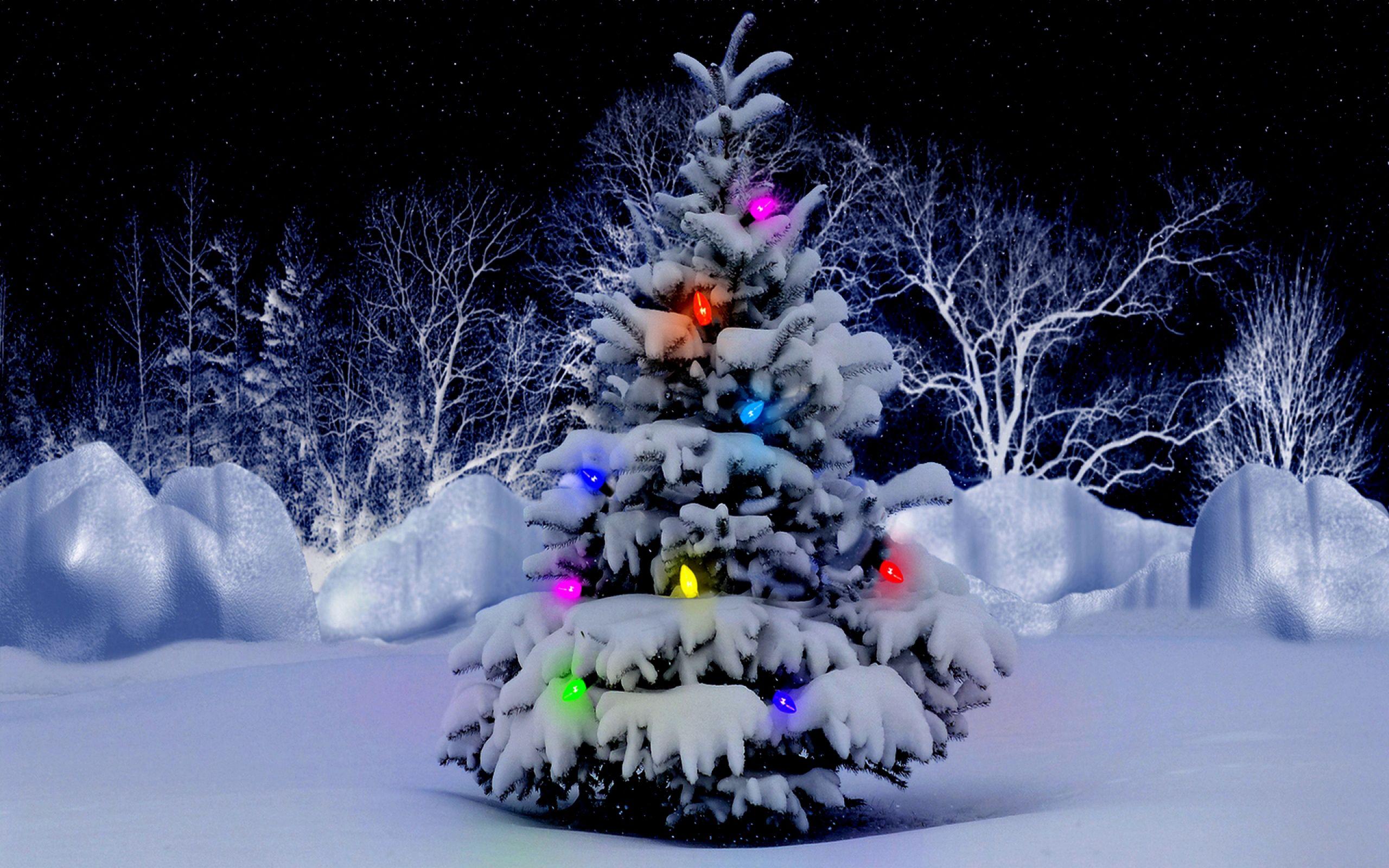 Beautiful Christmas Tree Snow Lights Background