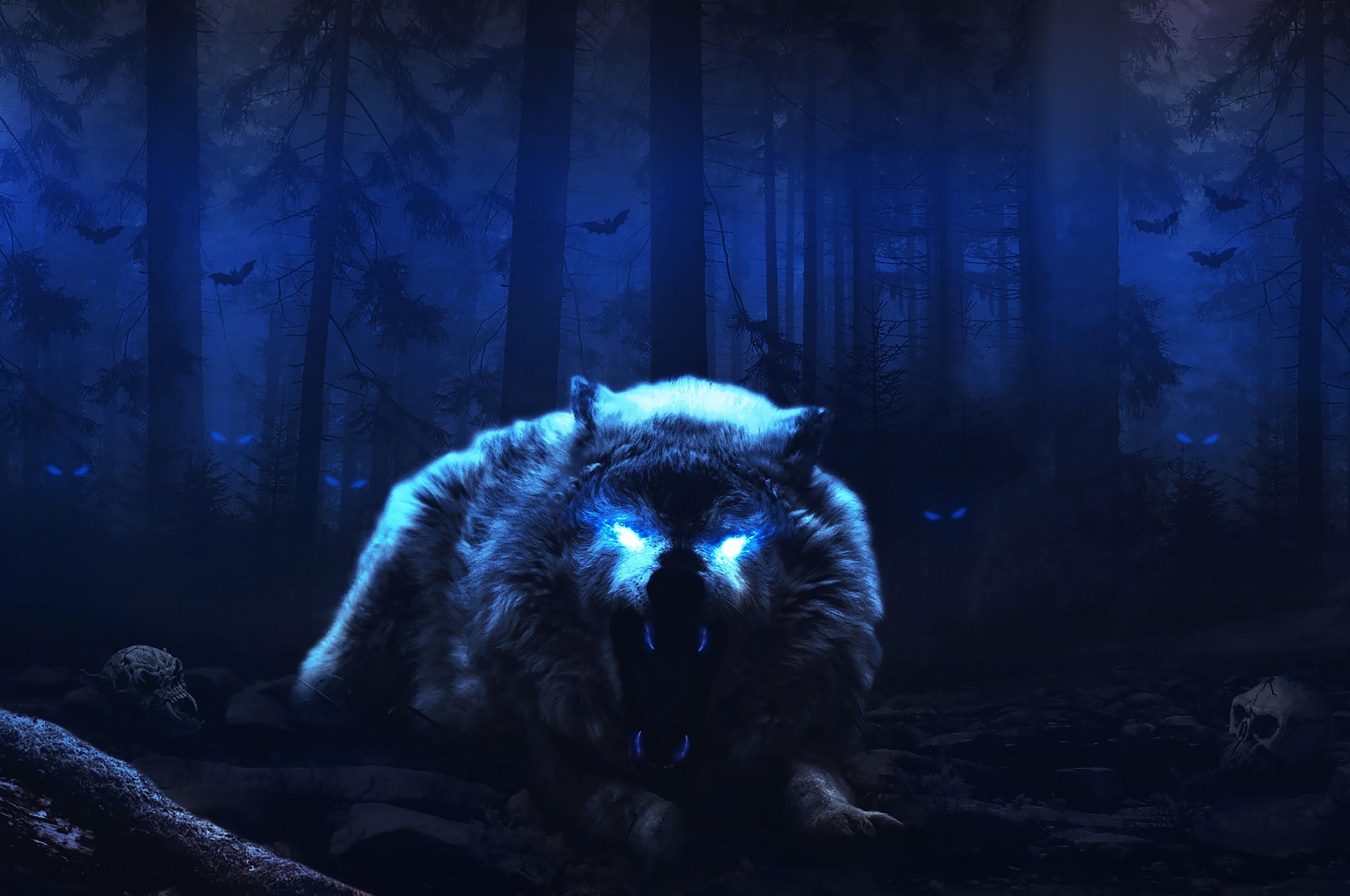 White Wolf, Scary, Night, Dark Forest, Monster