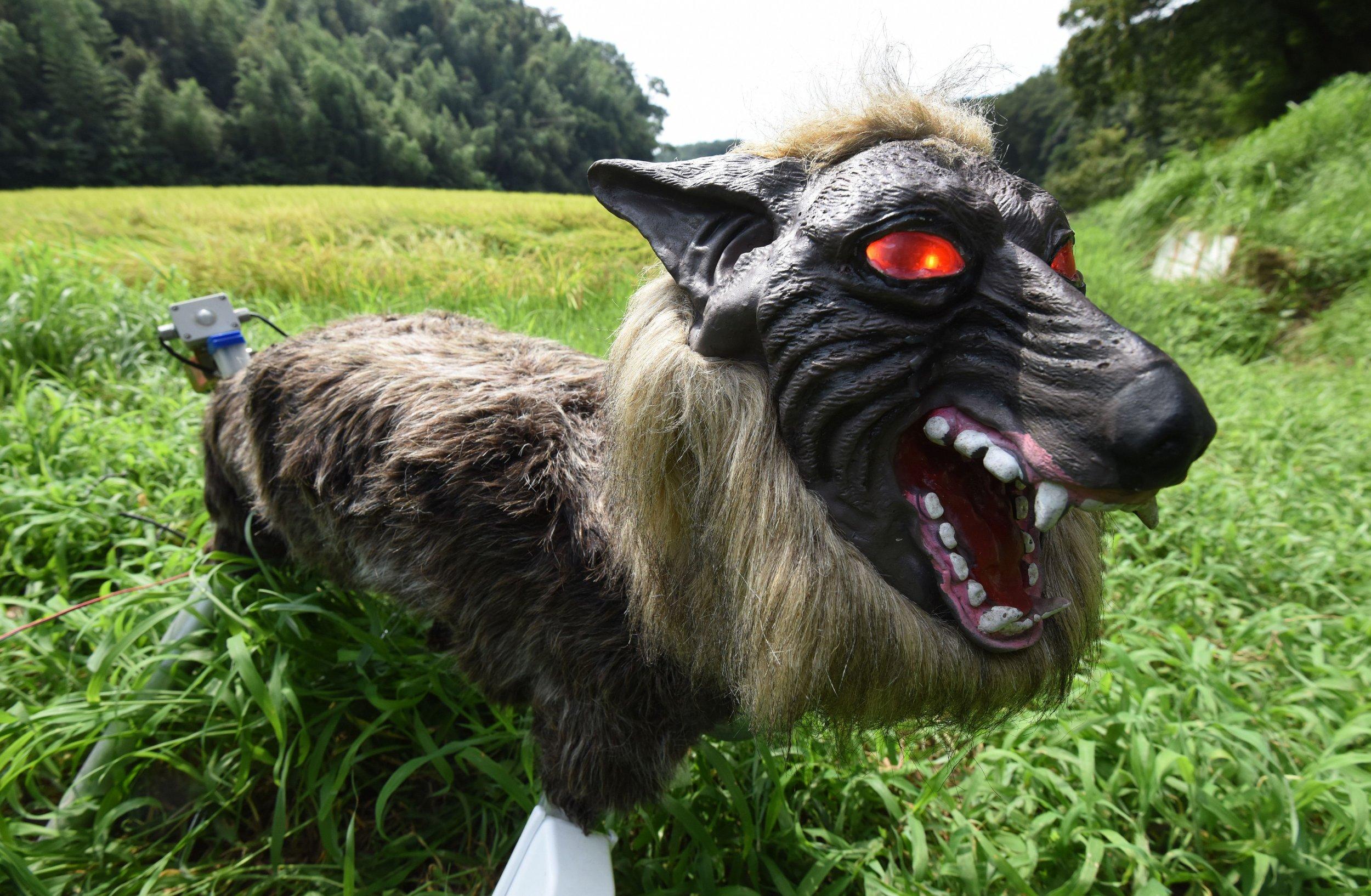 Terrifying 'Super Monster Wolf' Is a Robotic Pet That Will