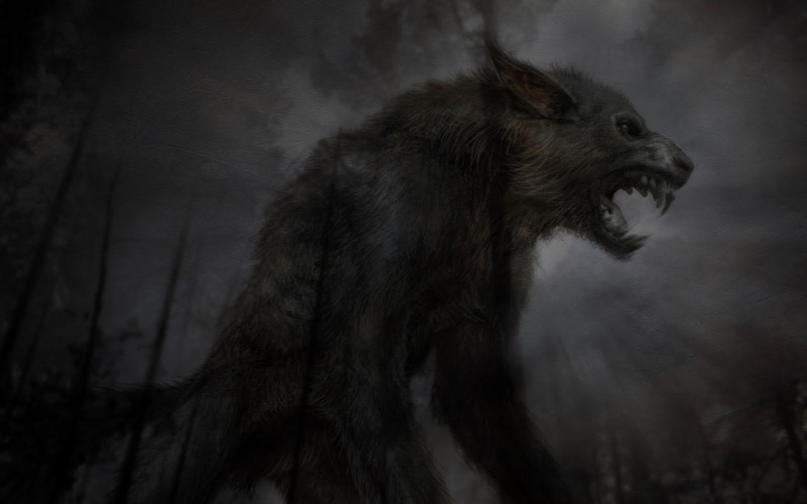 Angry Wolf Wallpaper Wolf Dark Forest, HD Wallpaper