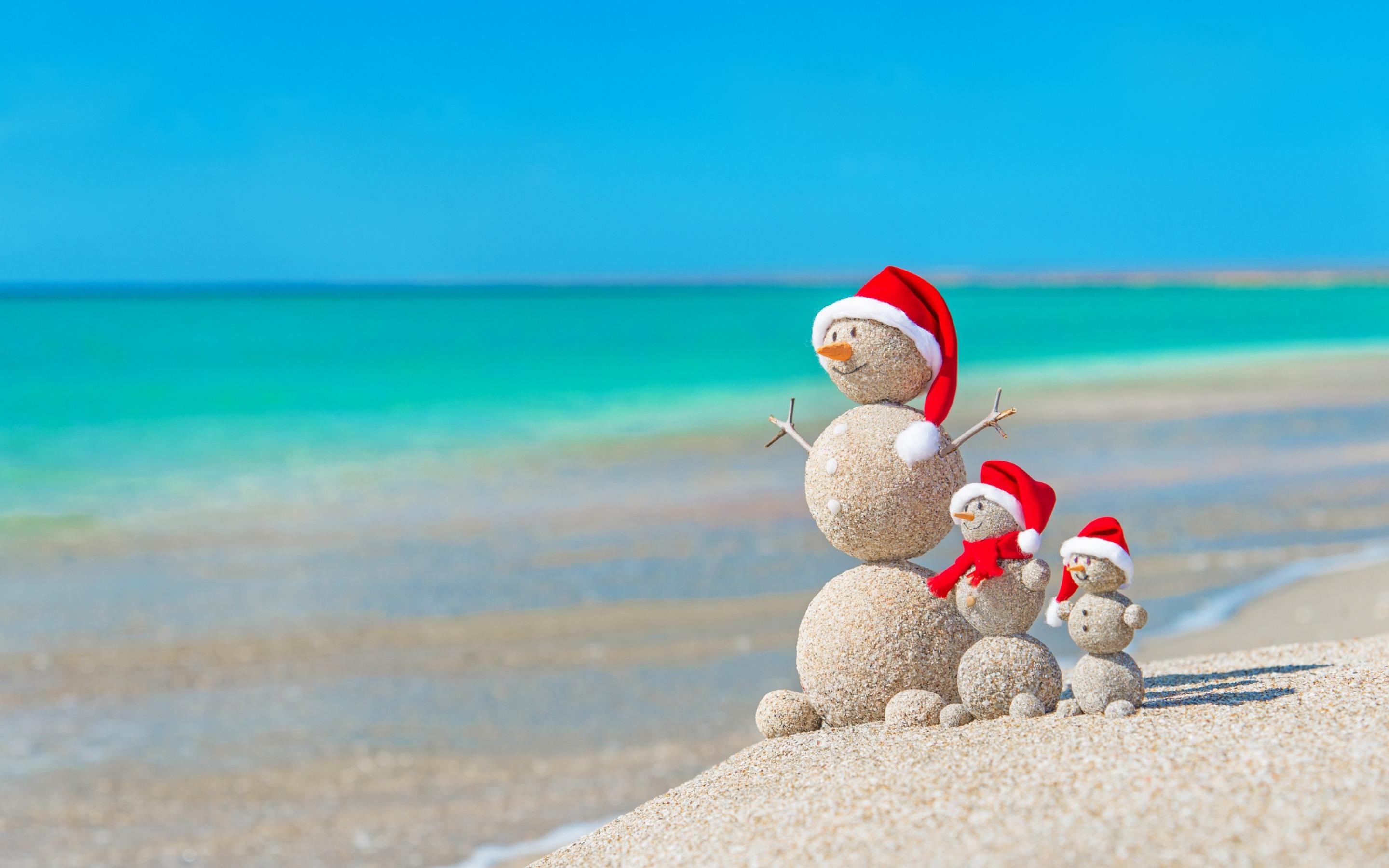 Download wallpapers Christmas, tropical islands, beach.