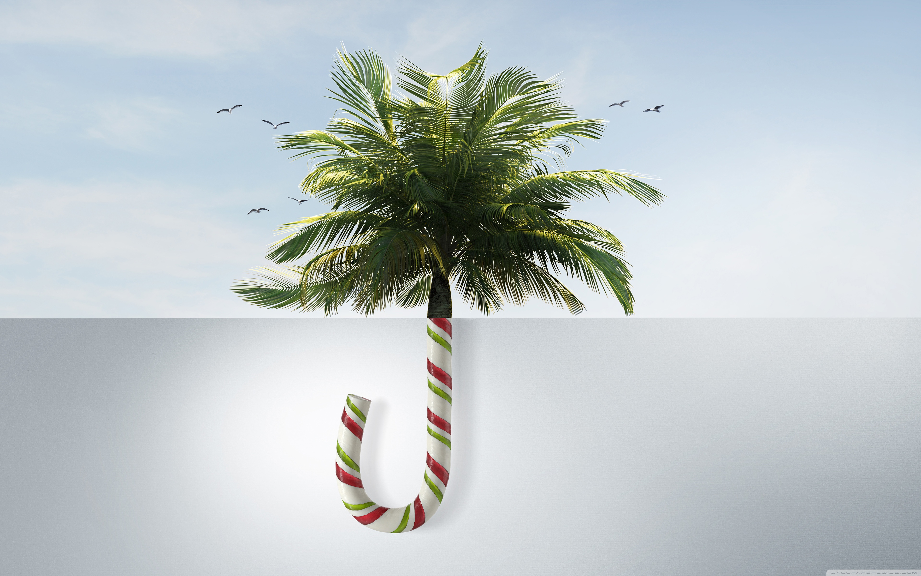 Tropical Christmas ❤ 4K HD Desktop Wallpaper for 4K Ultra