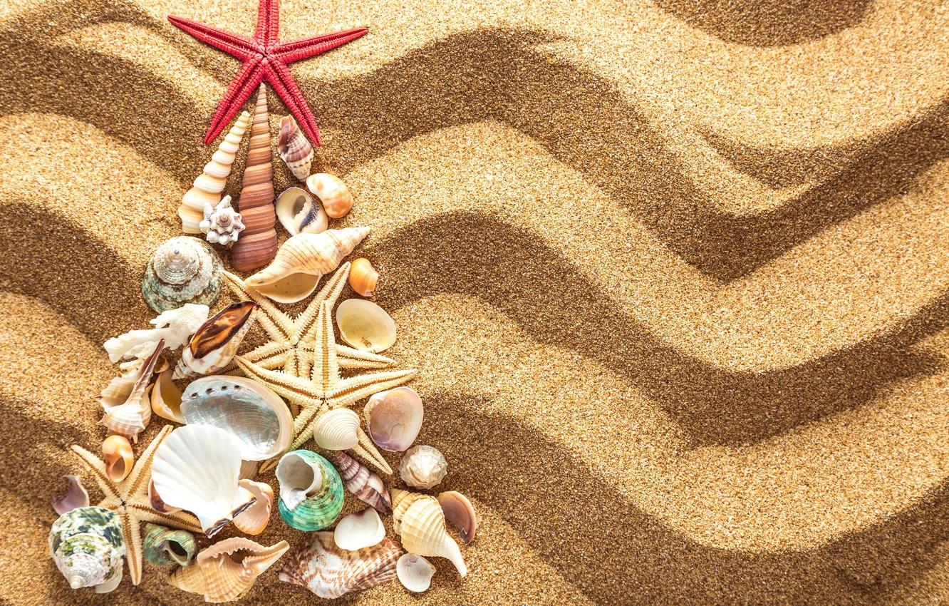 Wallpaper sand, decoration, tree, New Year, shell, Christmas