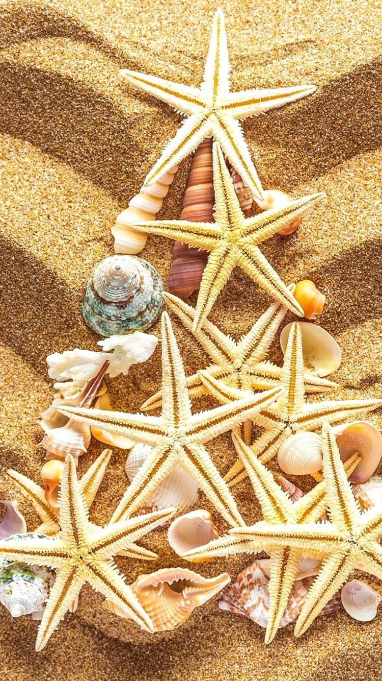Wallpaper Beach, sands, seashells, starfish, Christmas tree