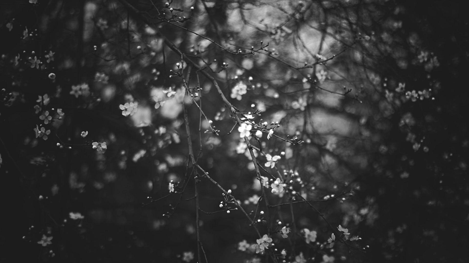 Sad Black And White Tumblr Background, HD Wallpaper - ++