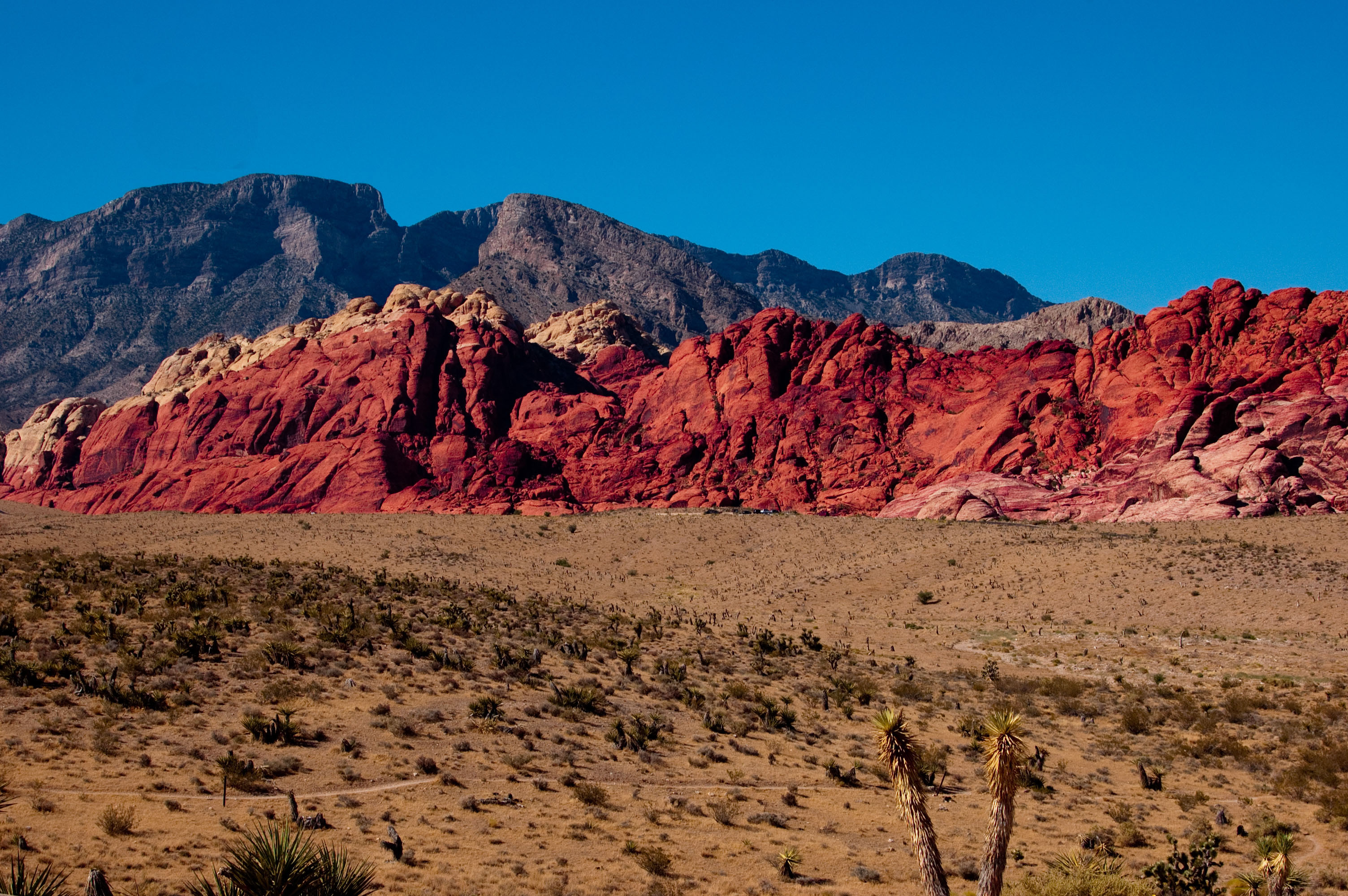 Red Rock Canyon HD Wallpaper