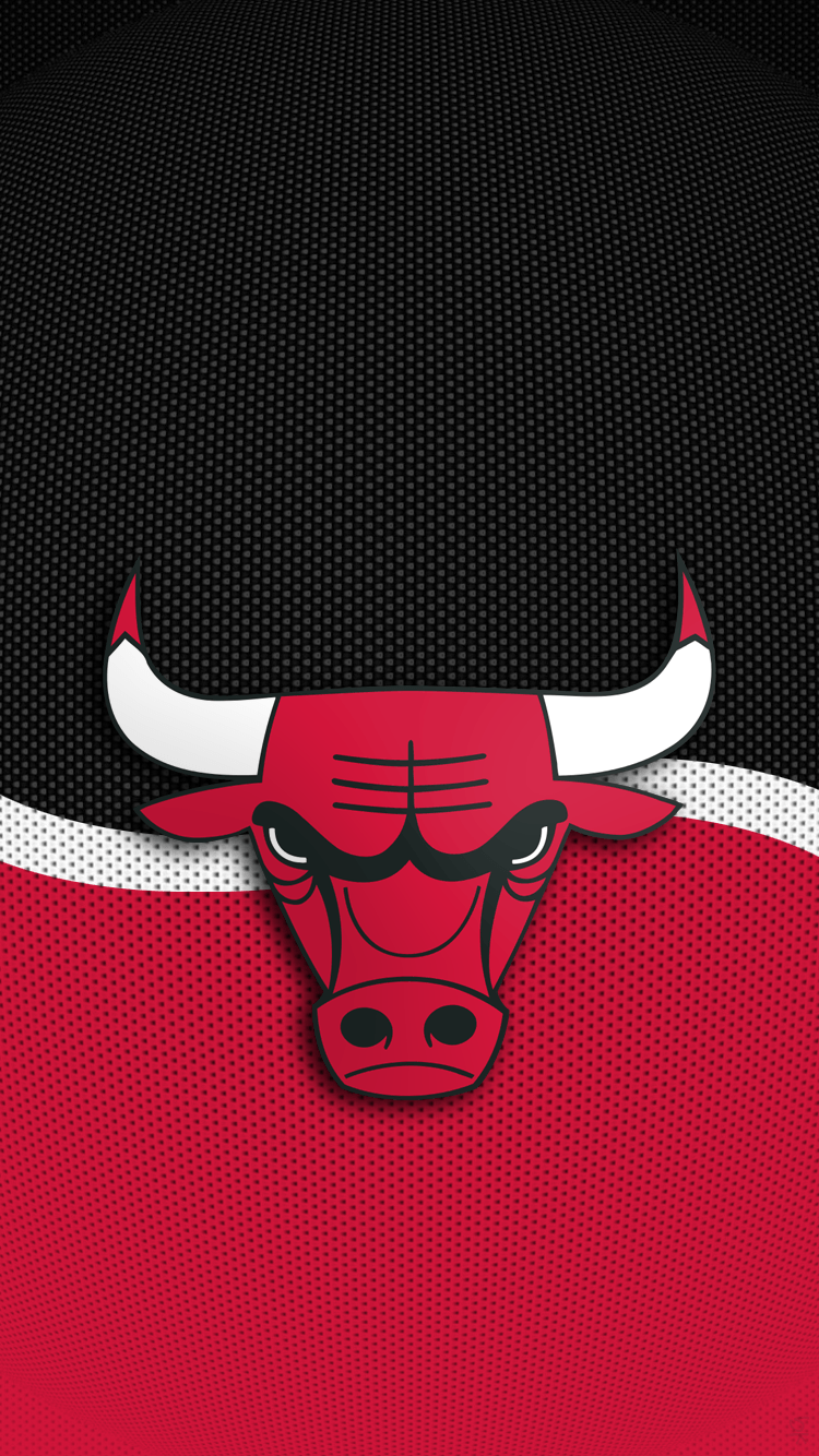 Bull. Chicago bulls basketball, Logo