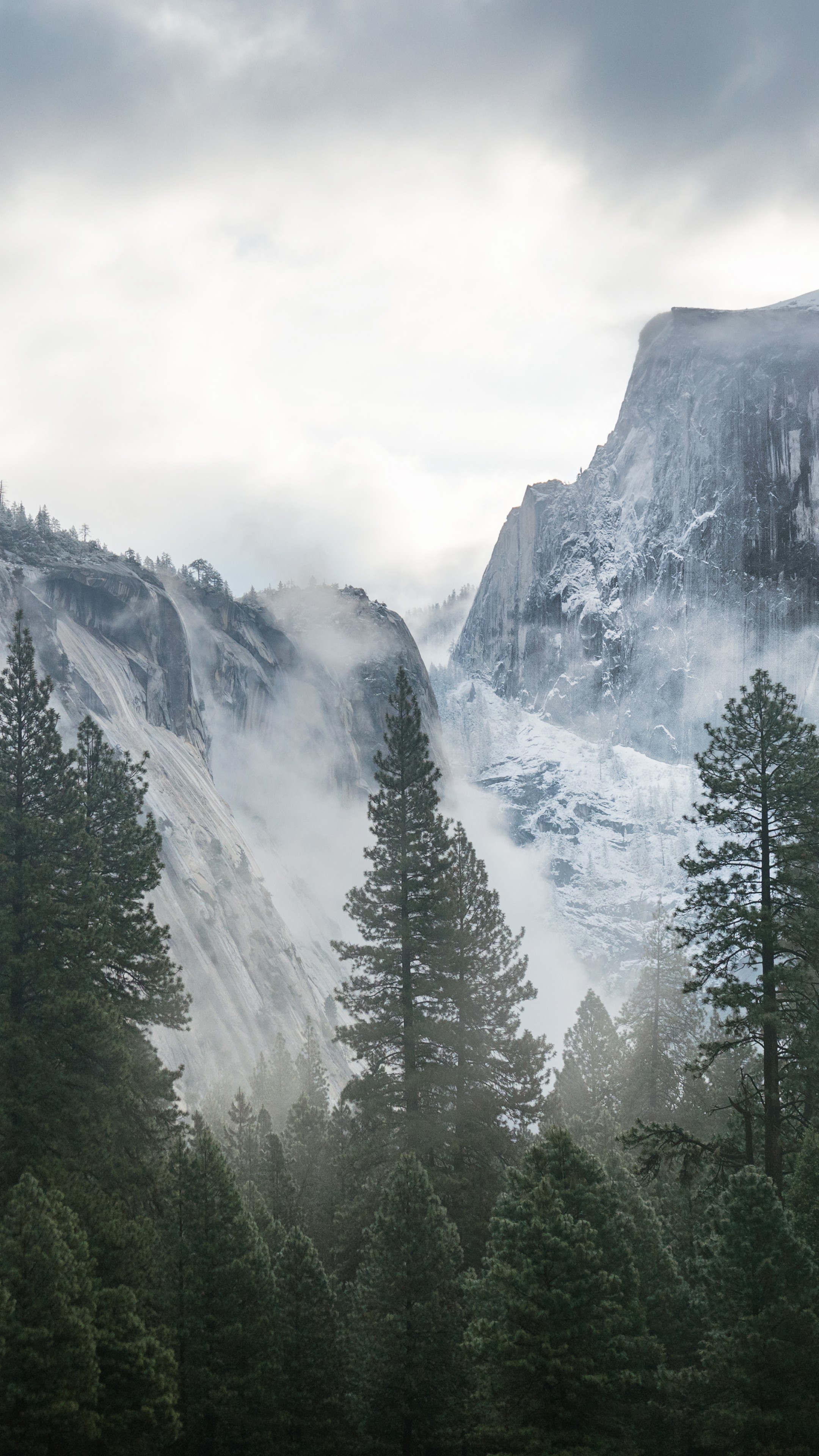 Wallpapers Yosemite, 5k, 4k wallpaper, 8k, forest, OSX, apple