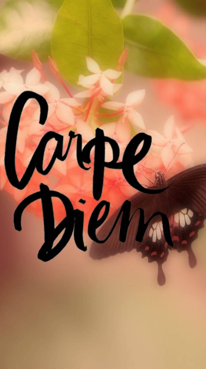 Carpe Diem Wallpapers - Wallpaper Cave