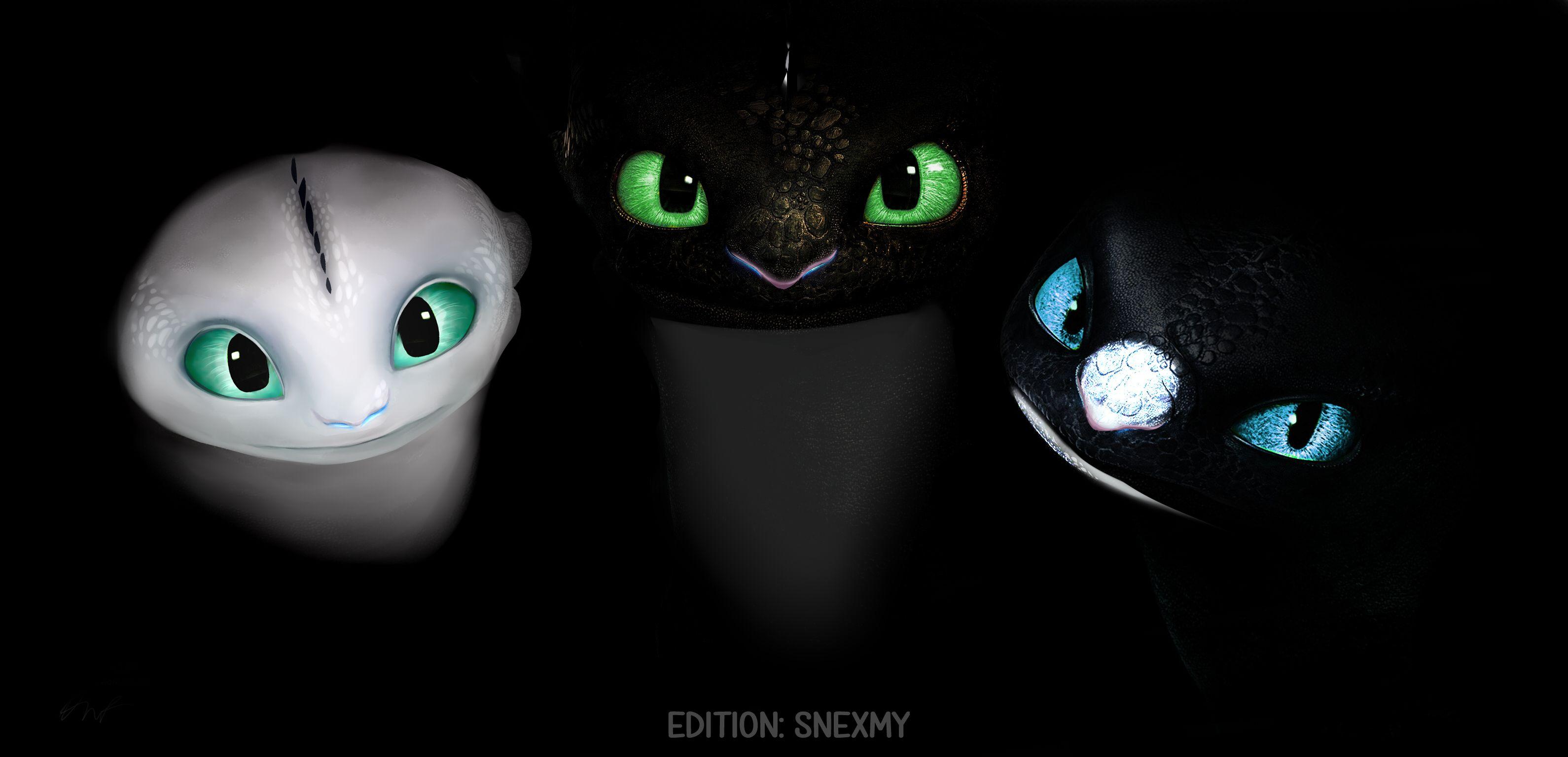 Httyd Fan Art Night Lights