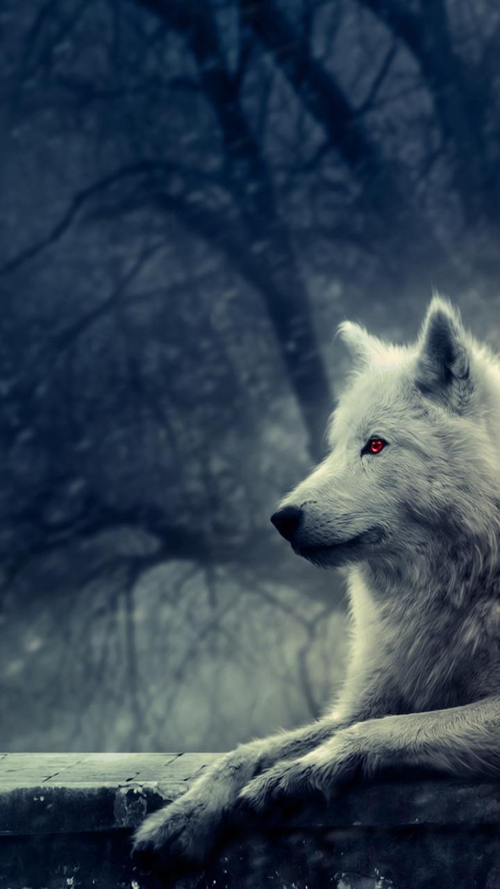 Dire Wolf Android Wallpapers Wallpaper Cave