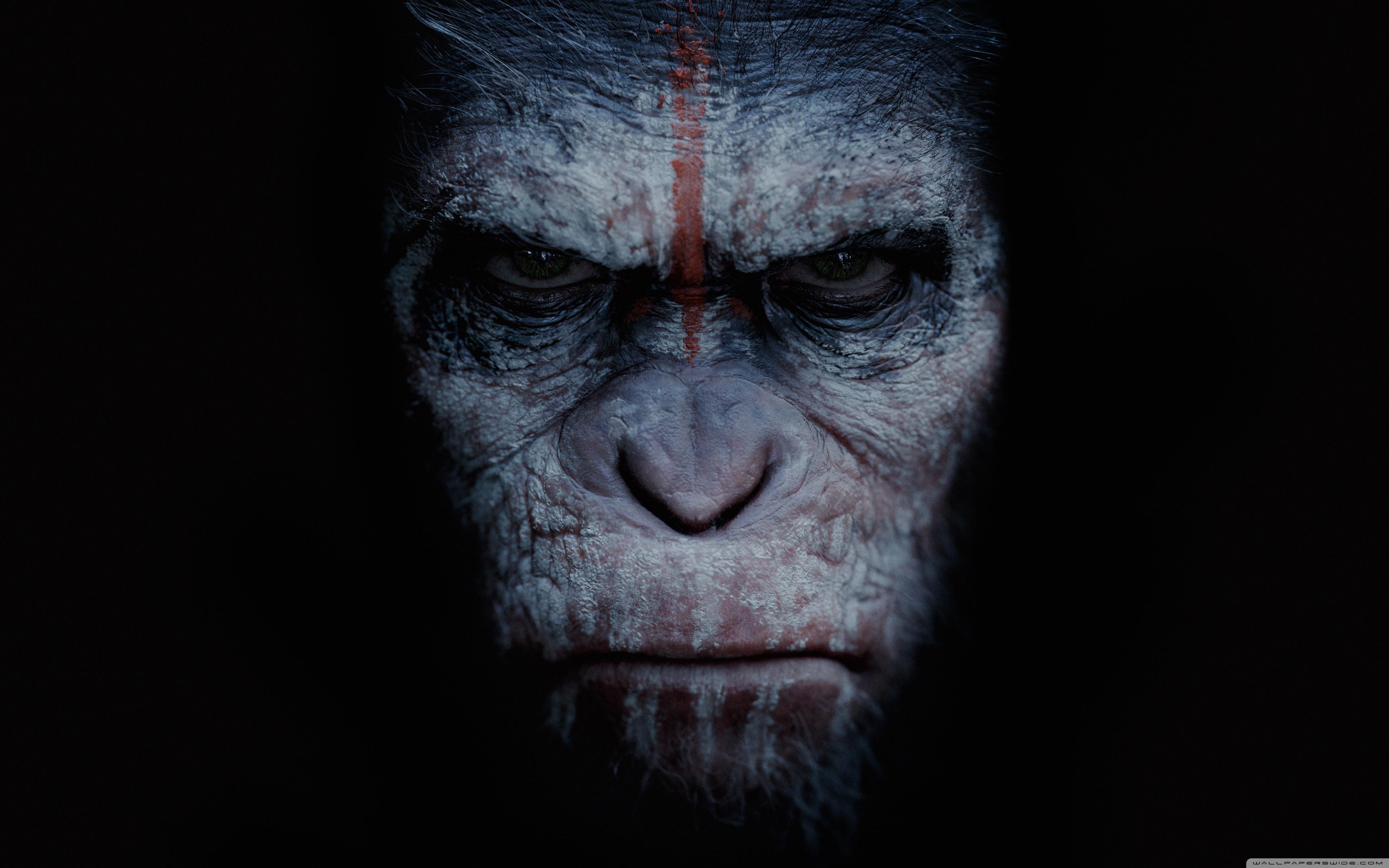 War For The Planet Of The Apes Wallpaper 17 X 2400