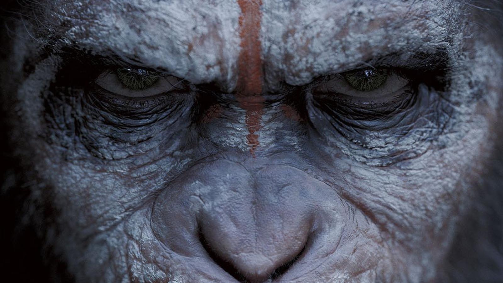 Wall.Cookdiary.net For The Planet Of The Apes