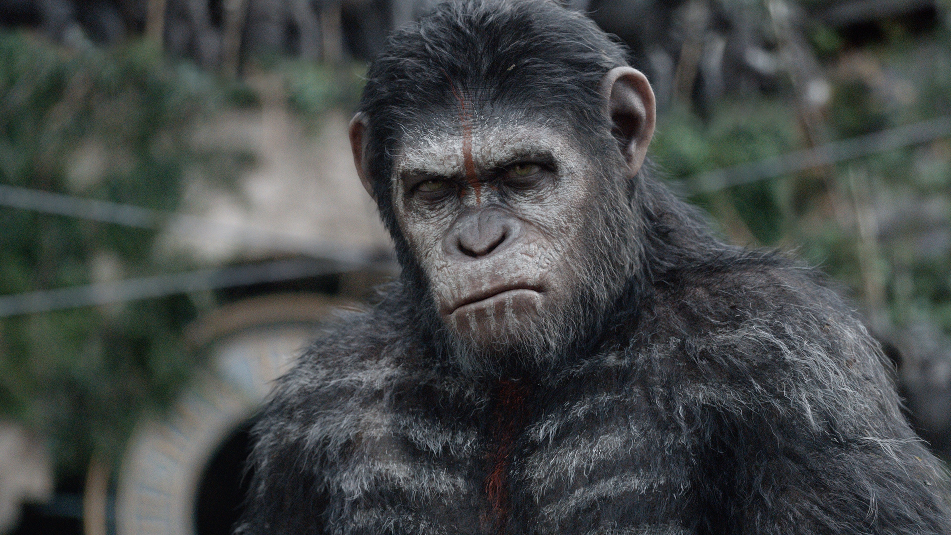 Wallpaper War for the Planet of the Apes, 4k, 5k, Movies