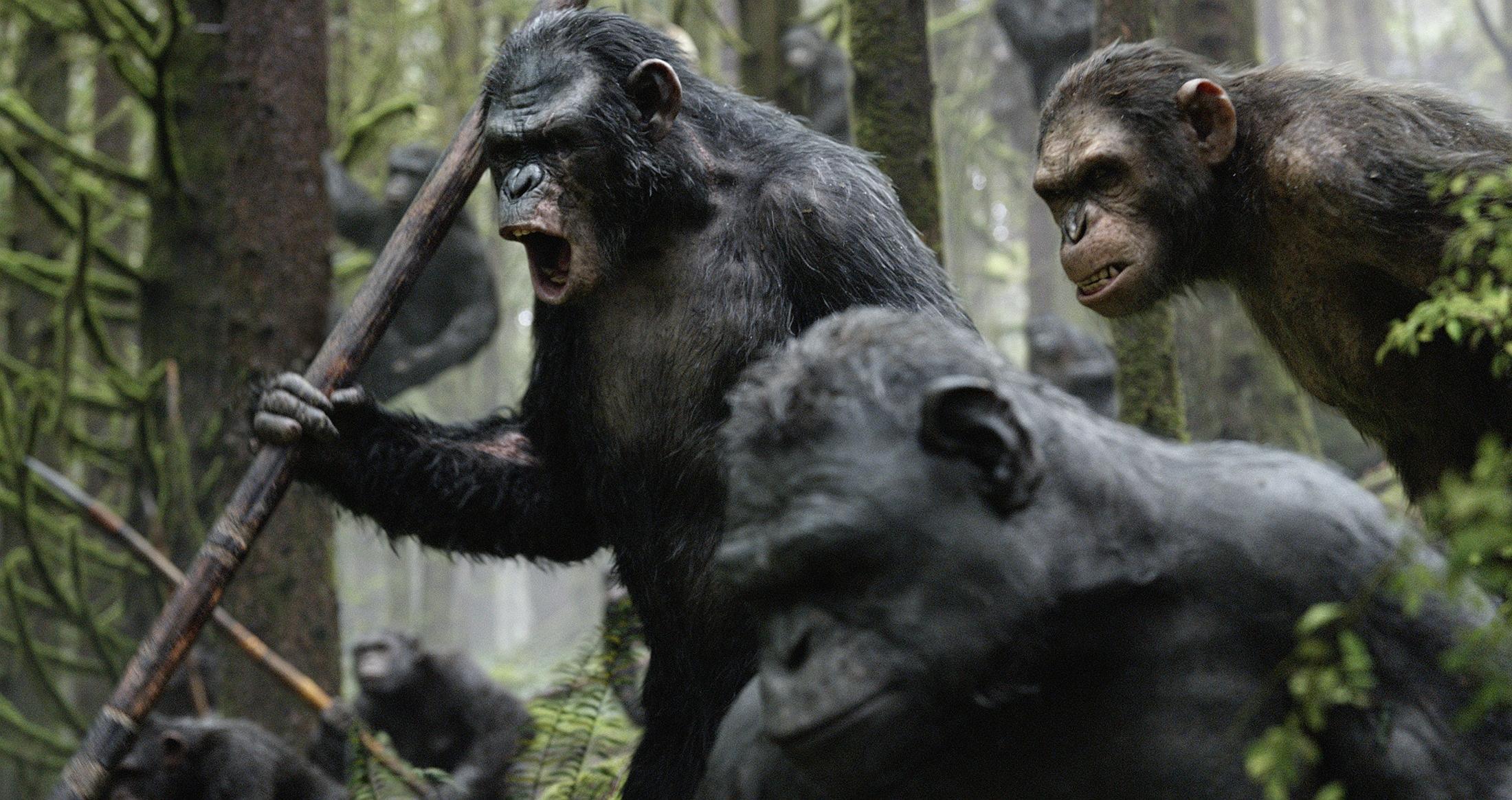Dawn of the Planet of the Apes Wallpaper and Background