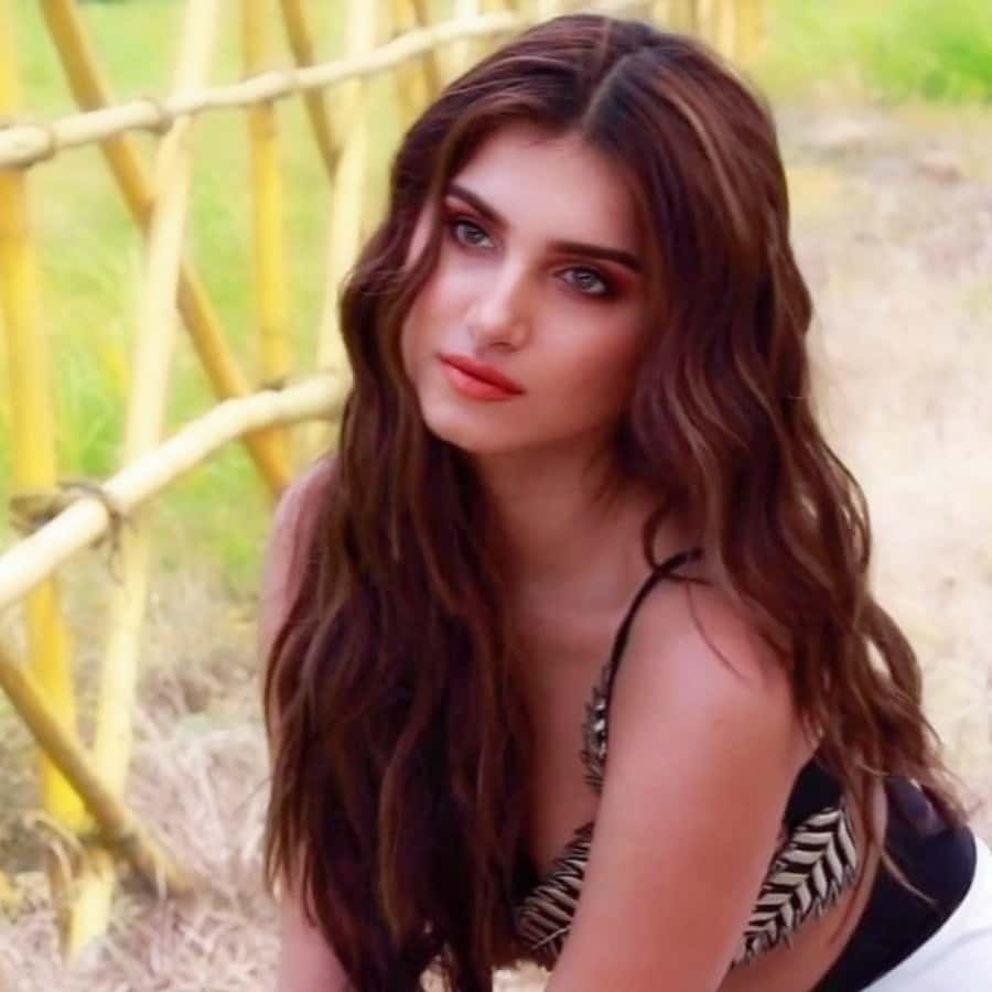 Tara Sutaria Latest Photohoot Stills. Tara Sutaria Photo